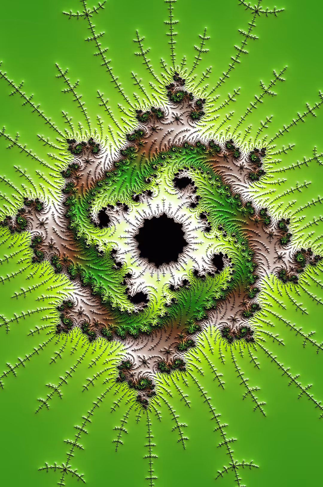 fractal#21