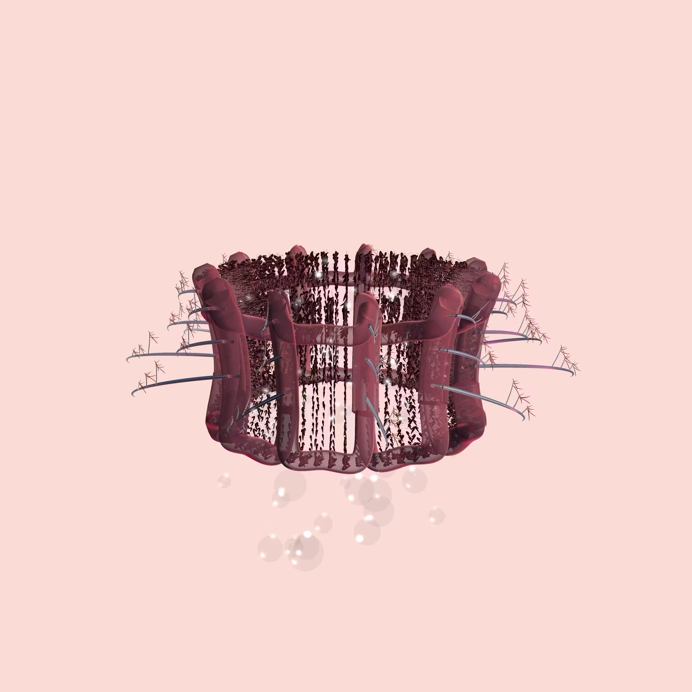 Lycorises #58
