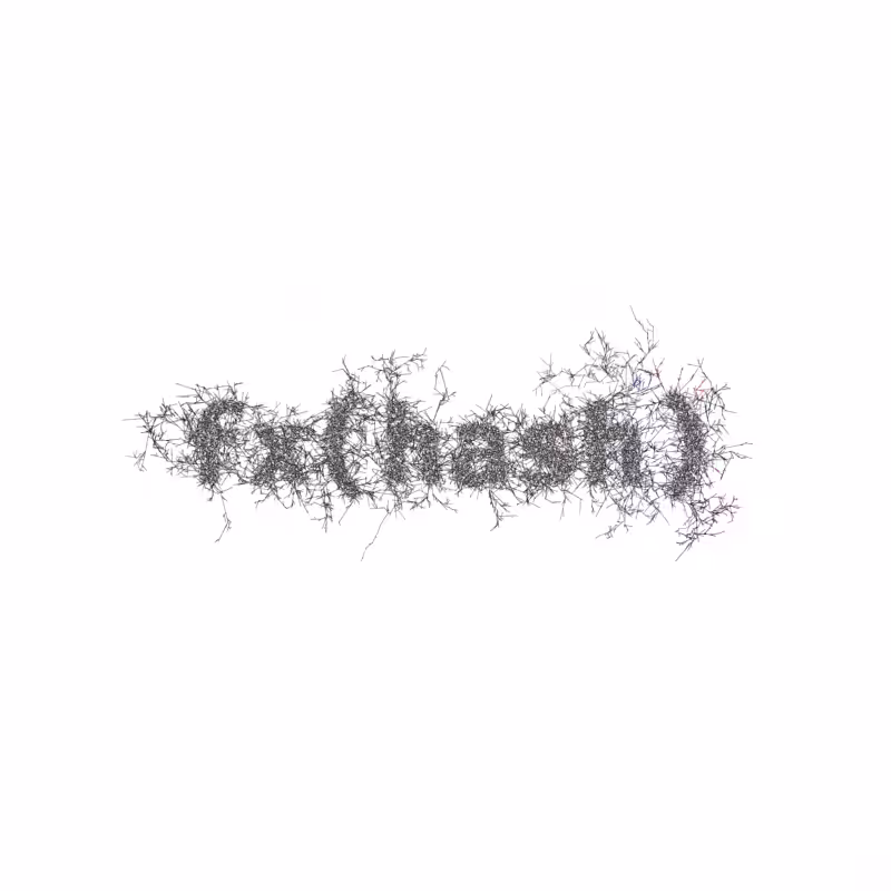 FXHASH Logo with Features #10