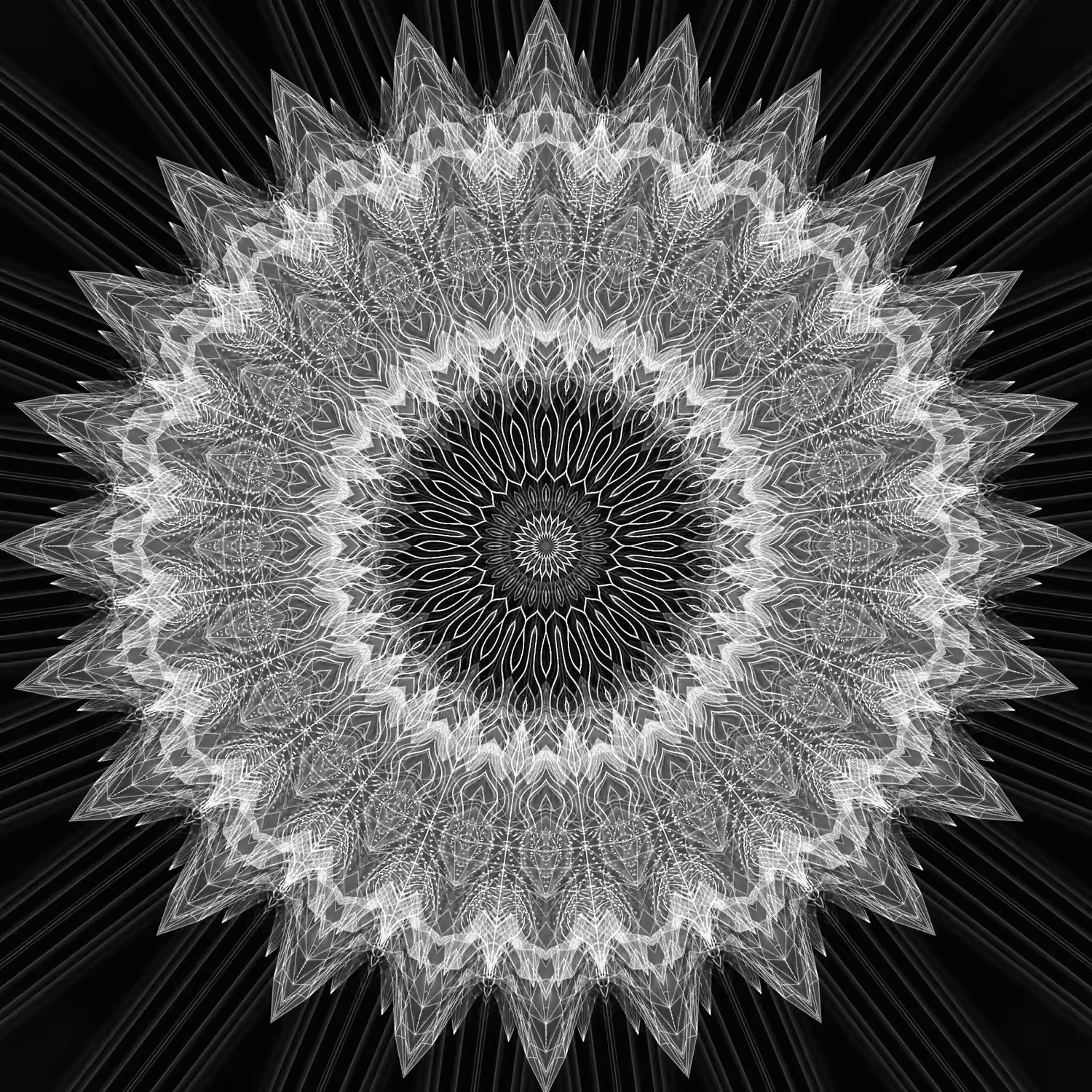 orbital warp 21