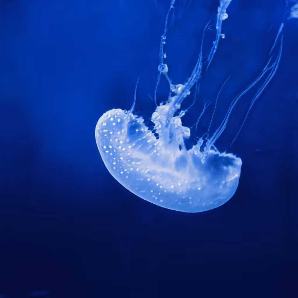AI imagined jellyfish #2/3