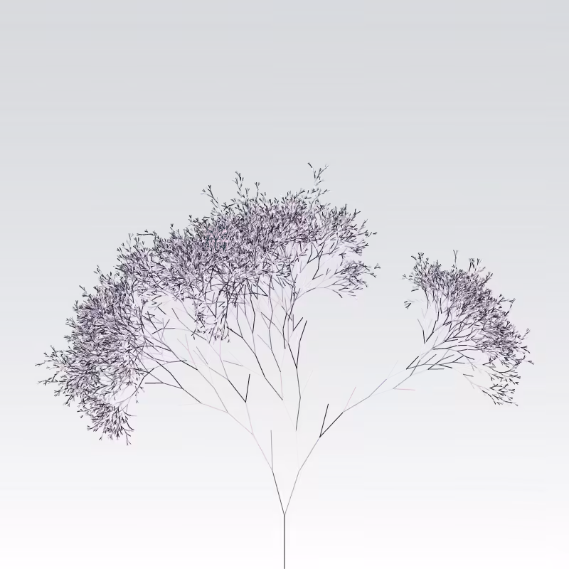 Hash Branches #77