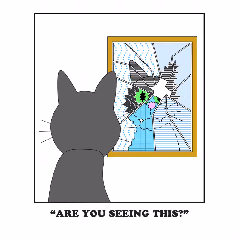 Broken Mirror #58