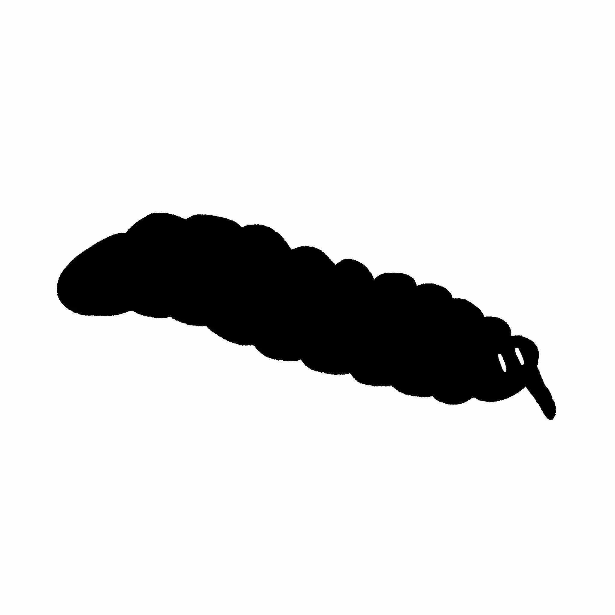 Fly Worm
