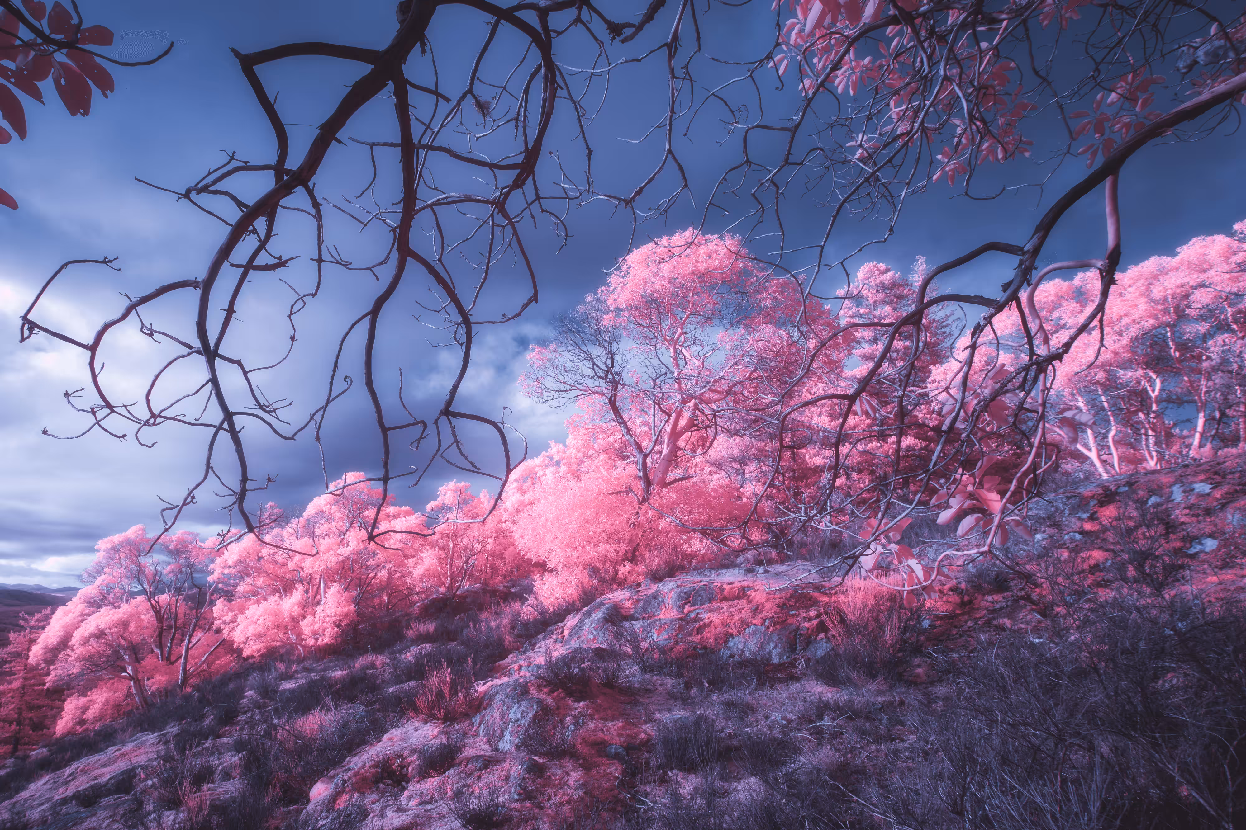 #6. Hillside Dreams