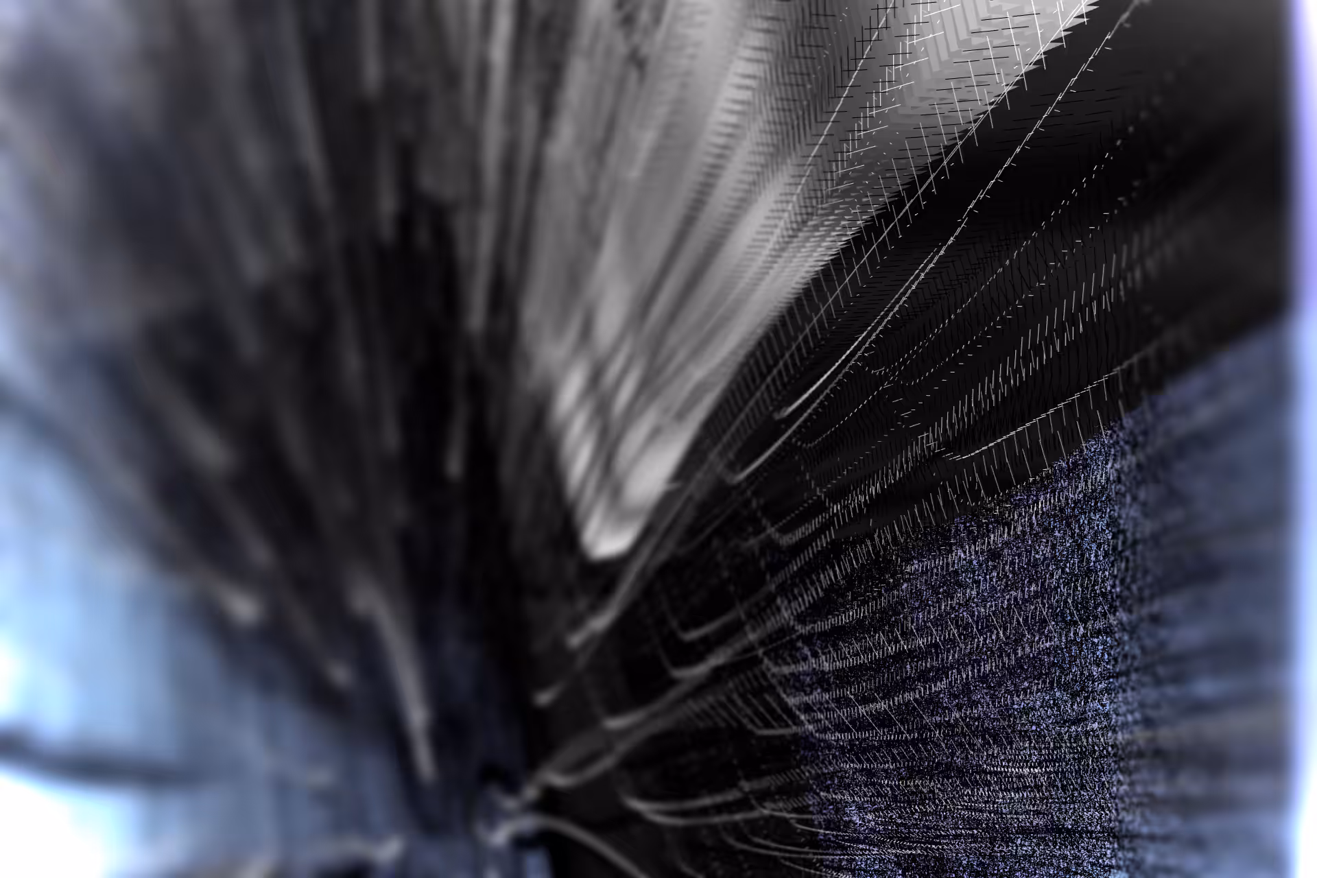 Digital Perspective
