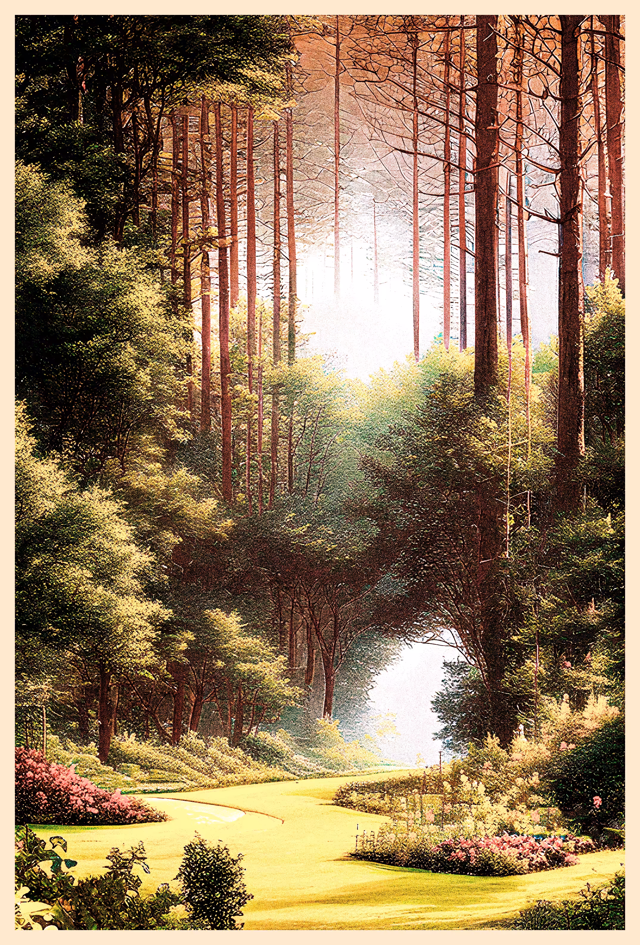 My Landscape. Series #4