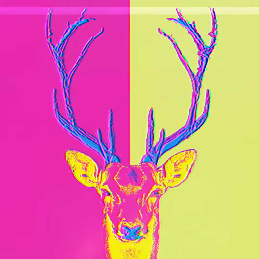 DEER - SA#004
