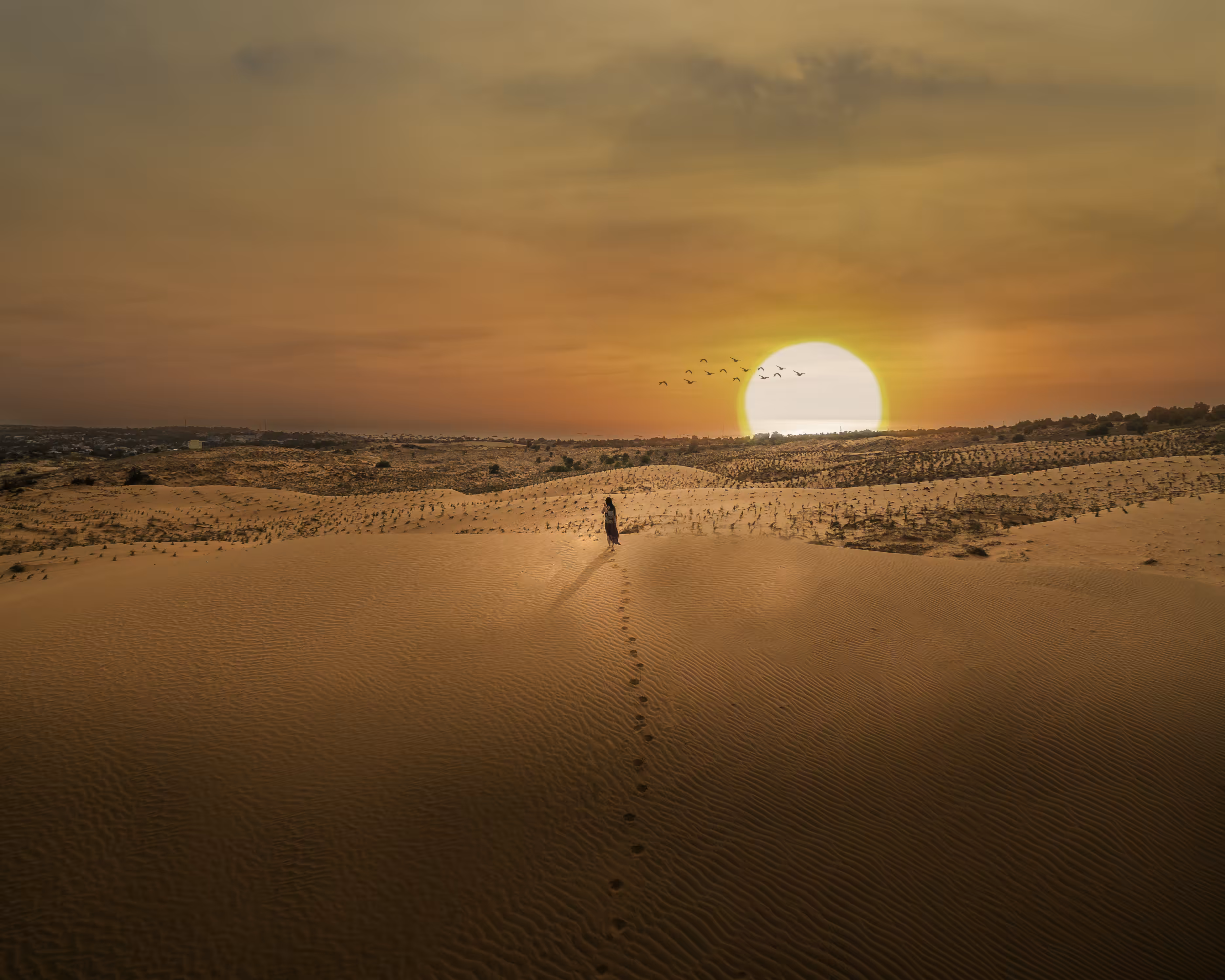 In Search of Sunset 