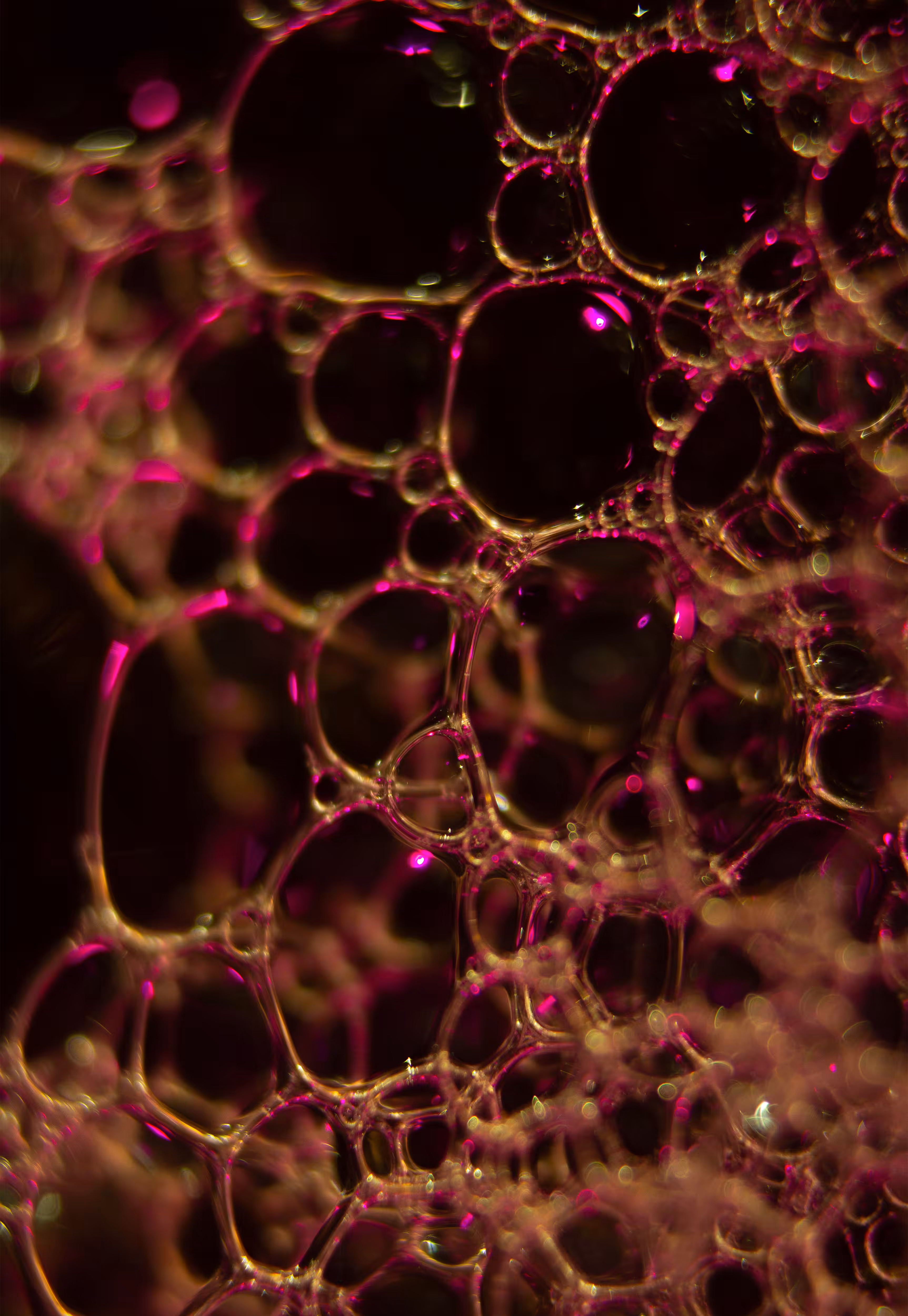 #104 Bubbles