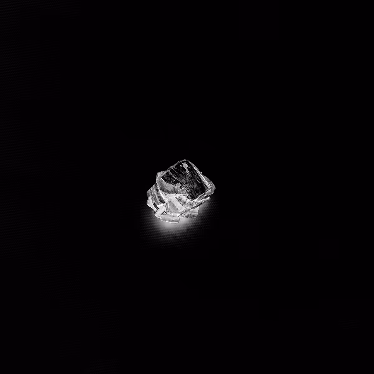 PROJECT: MUTE | NAME: #3