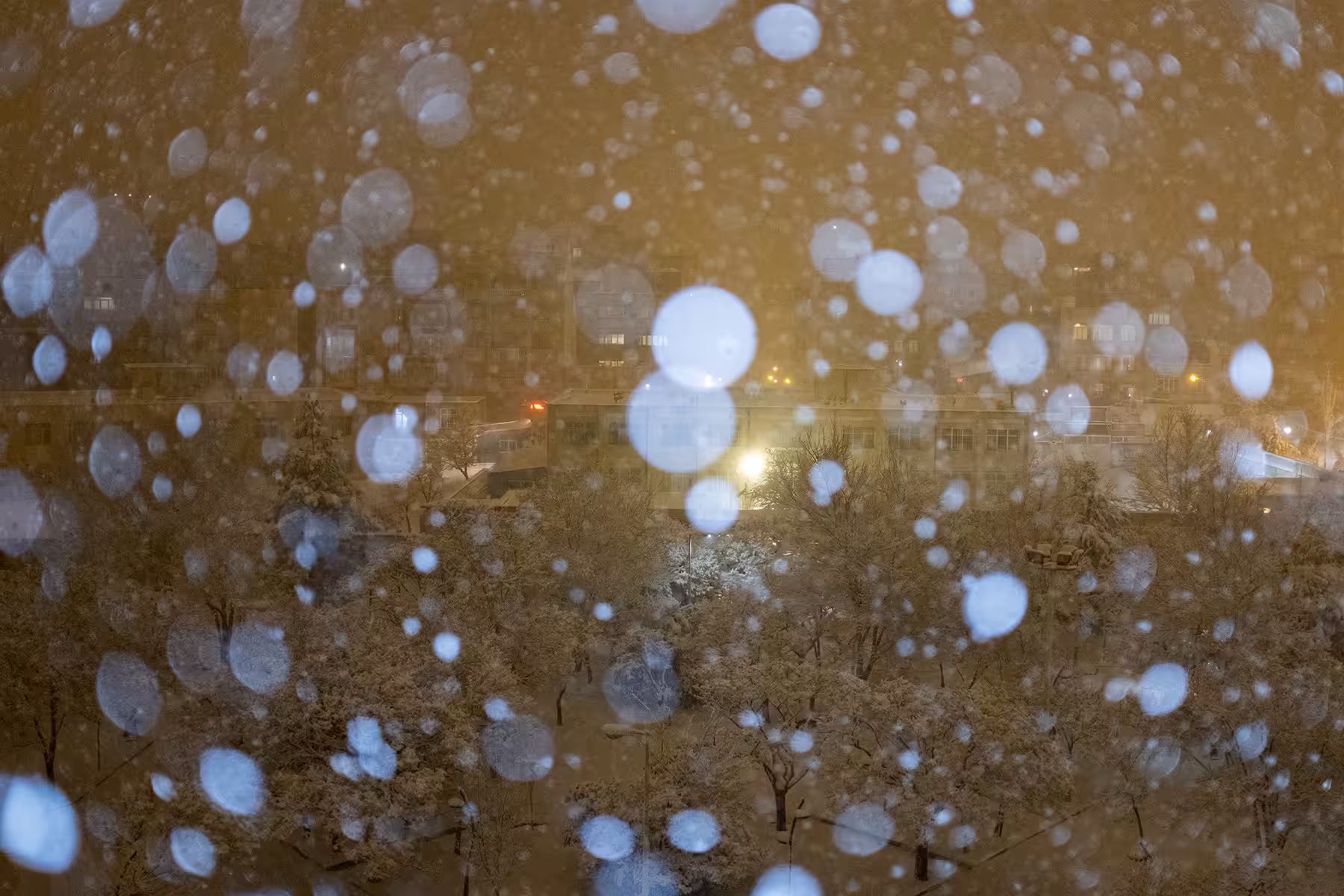 snowy night