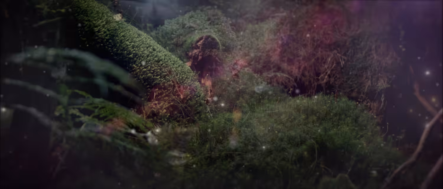 Tale of the Black Forest III