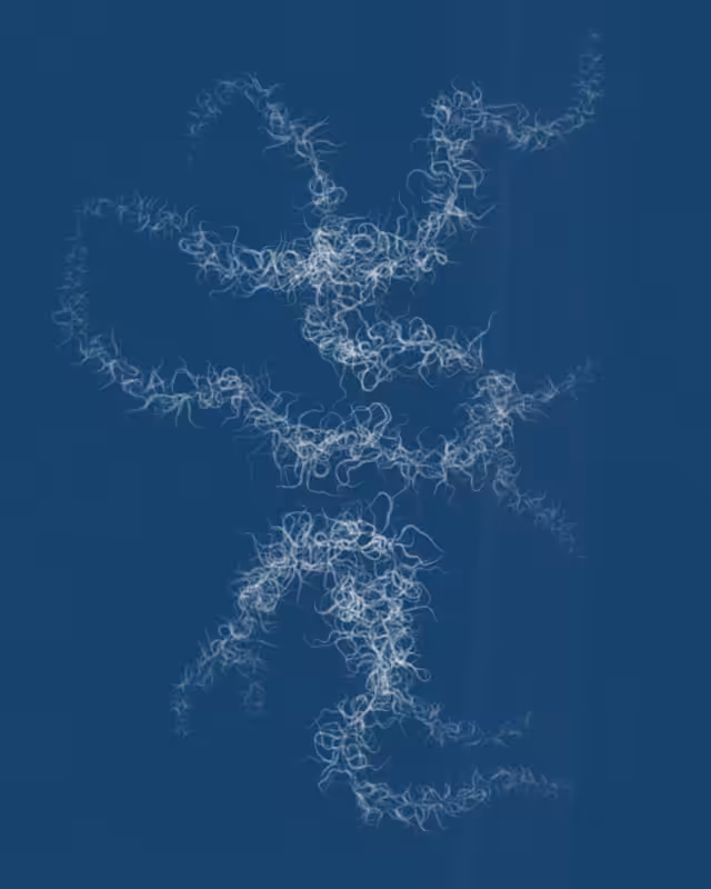 Cyanotypes #27