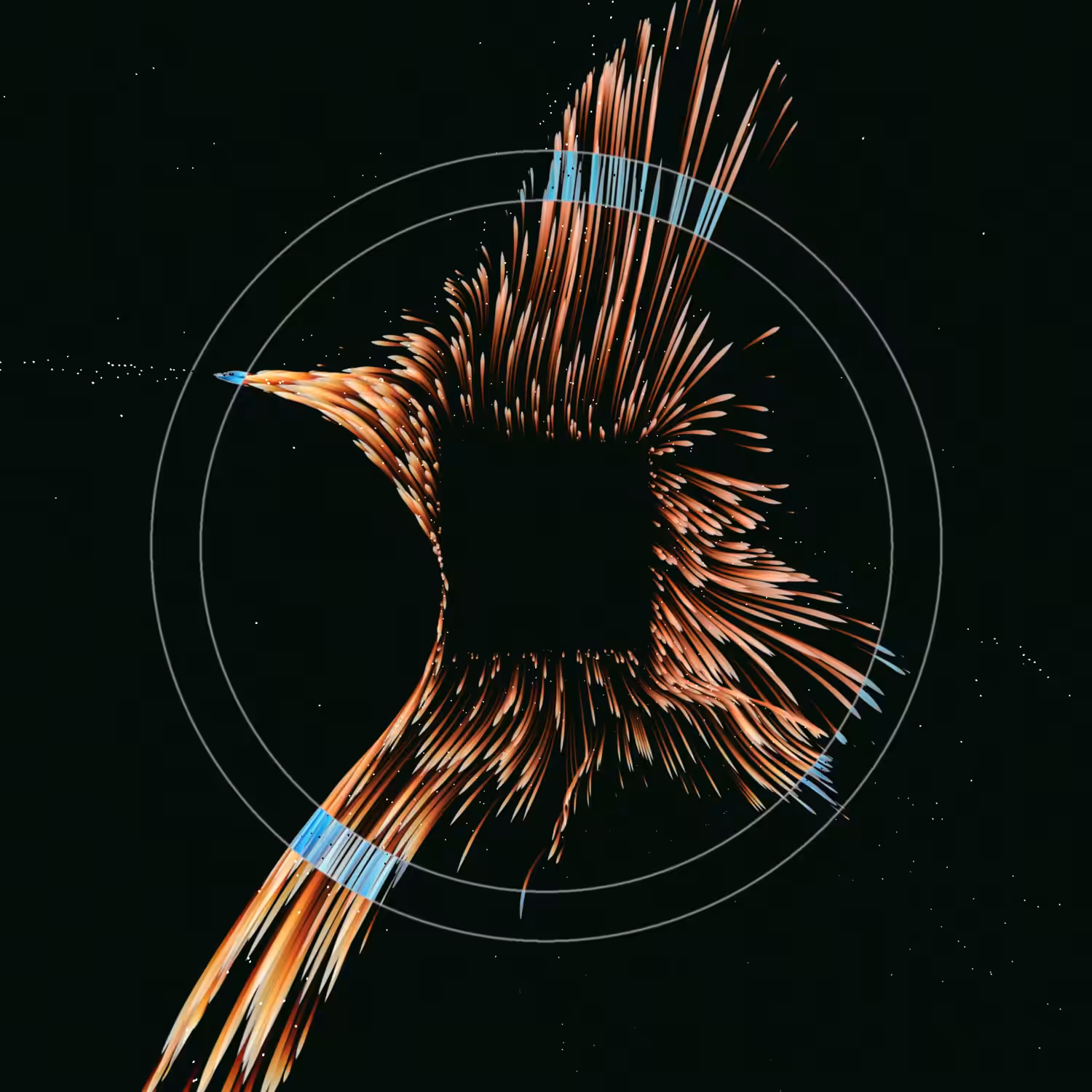 Vortex #512
