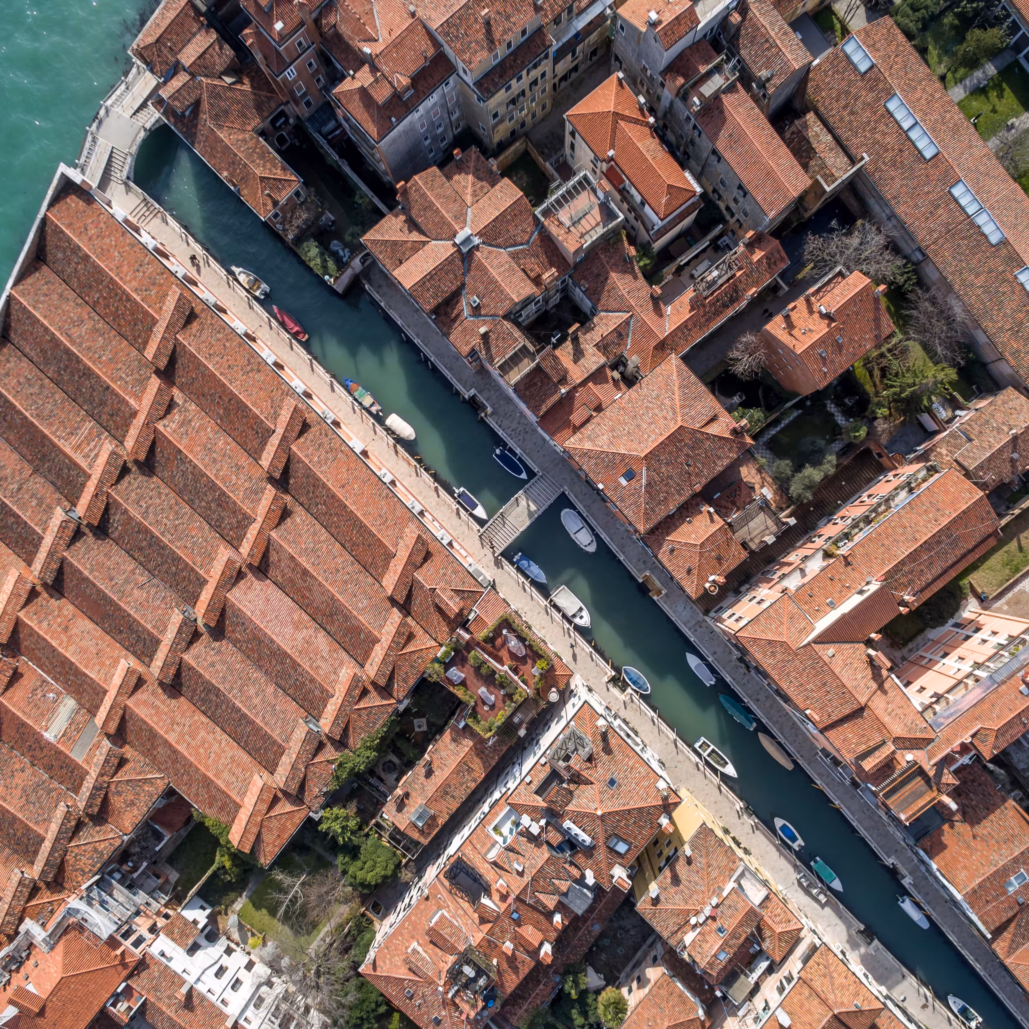 Crossings (Venice) 1/25