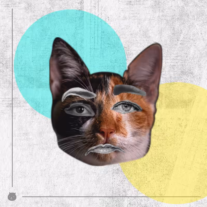 Kittenstein #17
