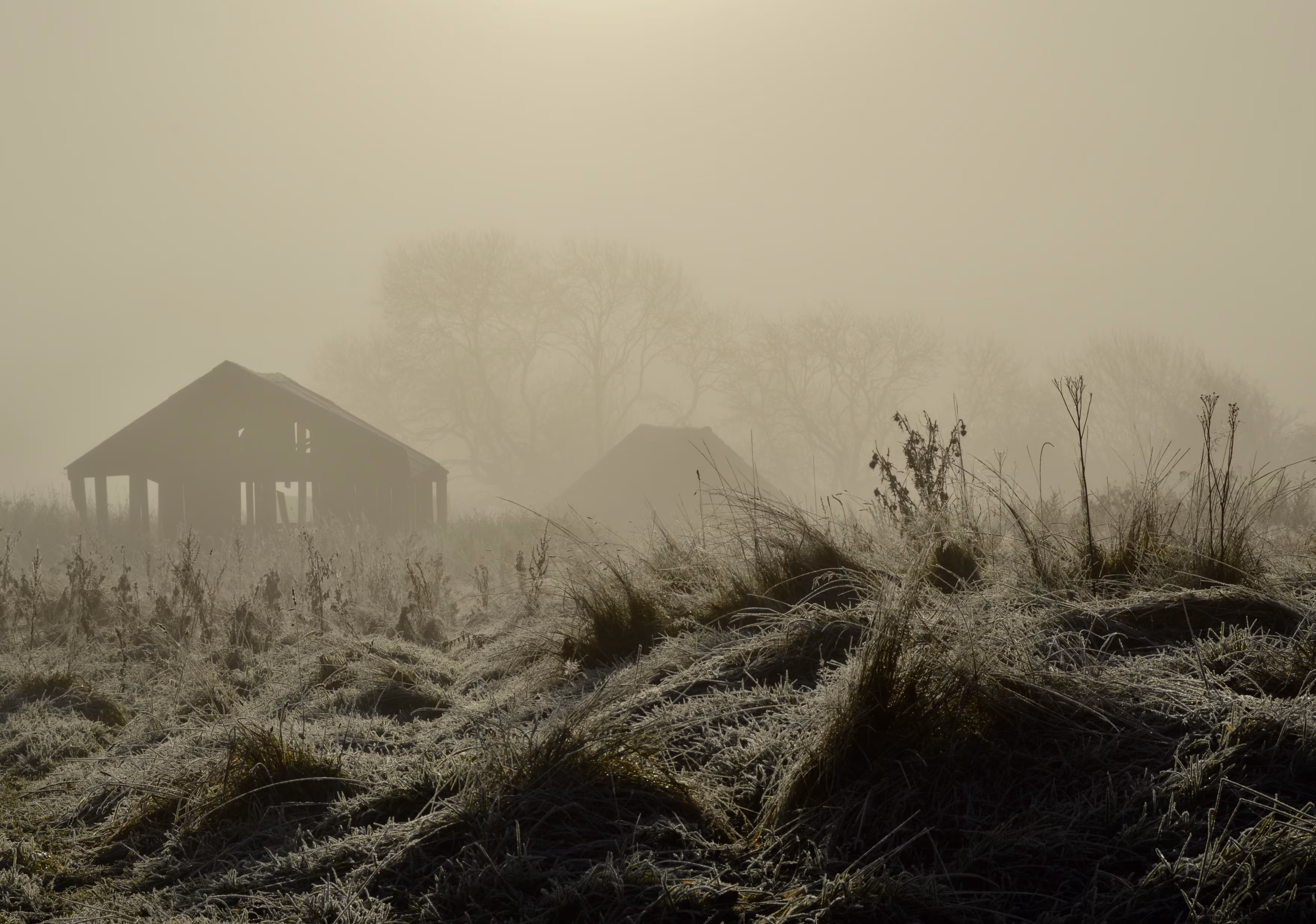 Landscape 2