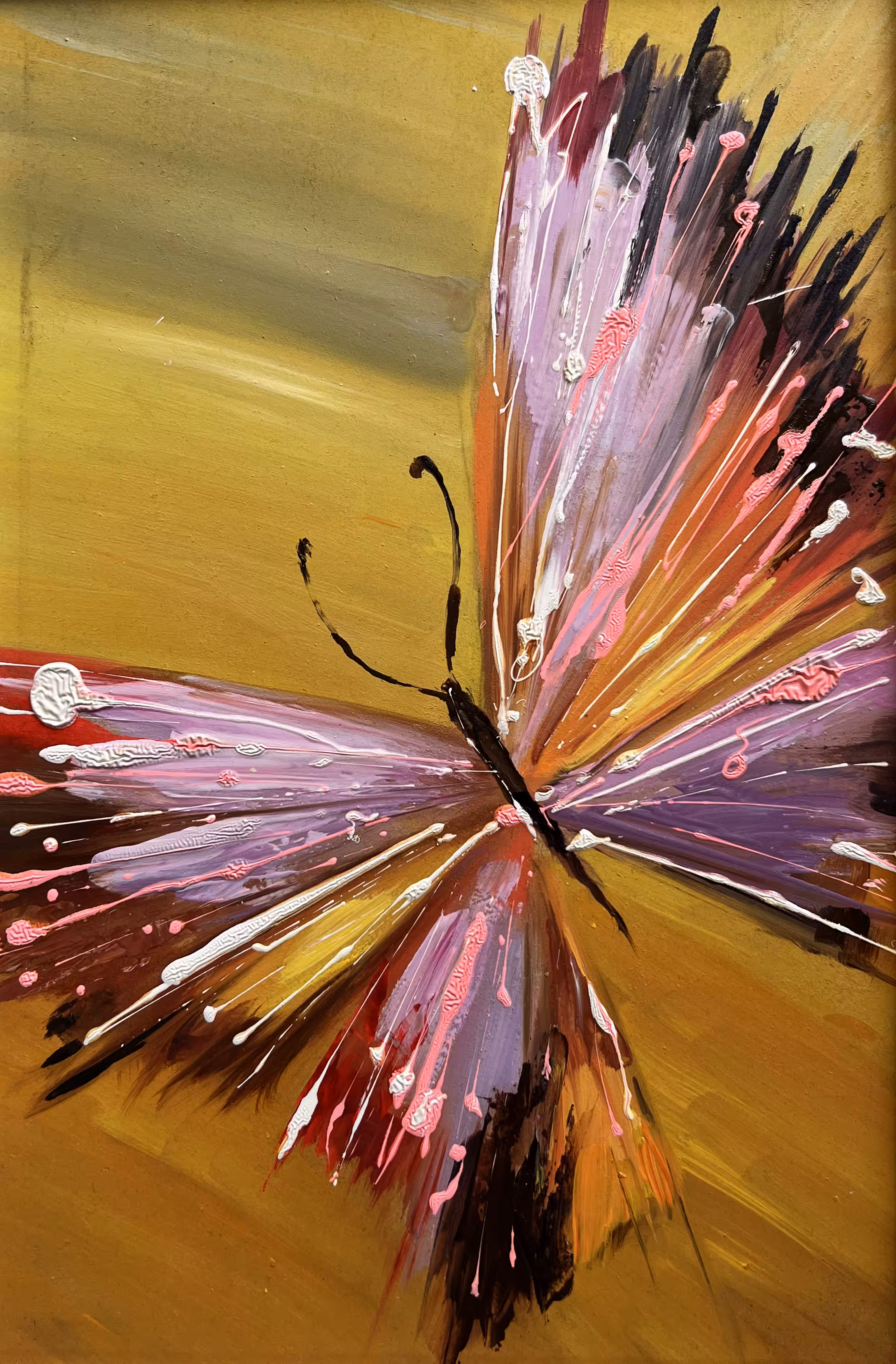 butterfly