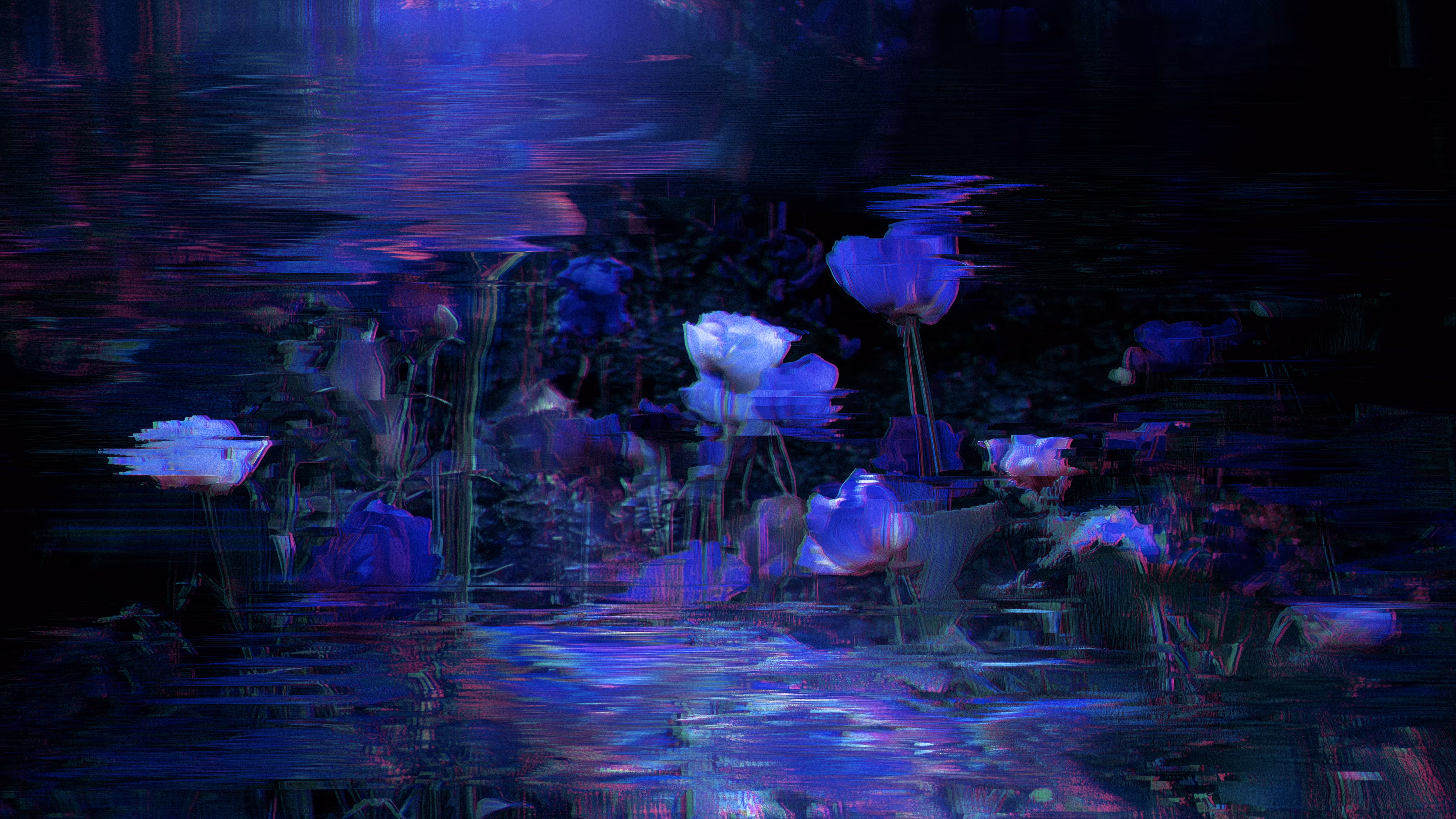 Nocturne Garden 