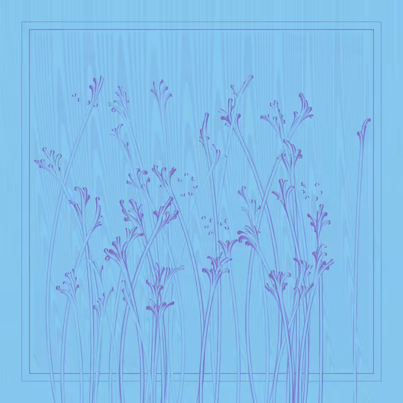 string_pllu #42