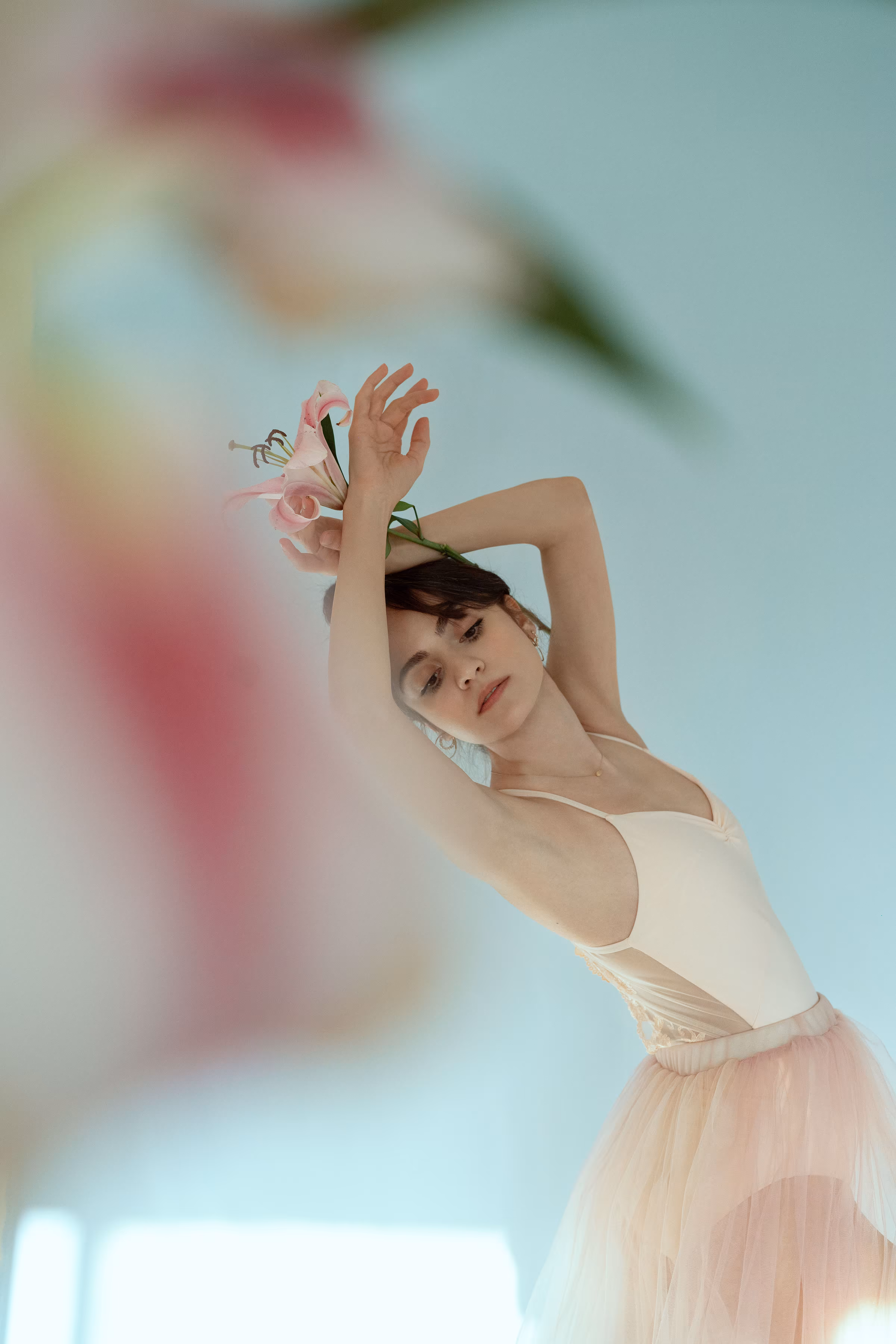 Bloom in Motion 