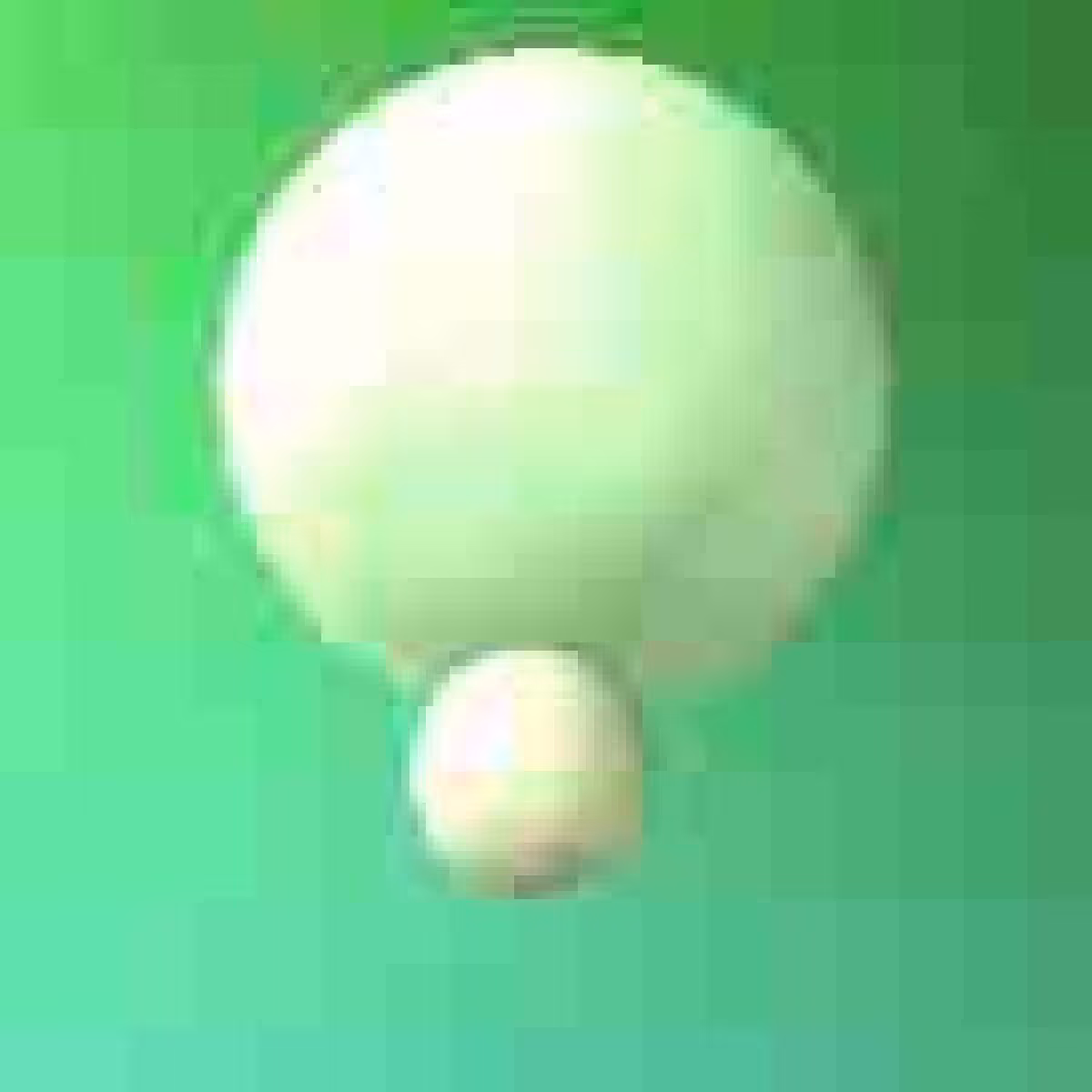 Orbit 581056033