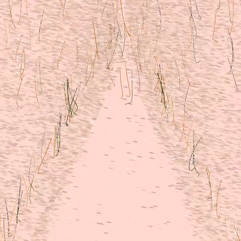 Forest path #2