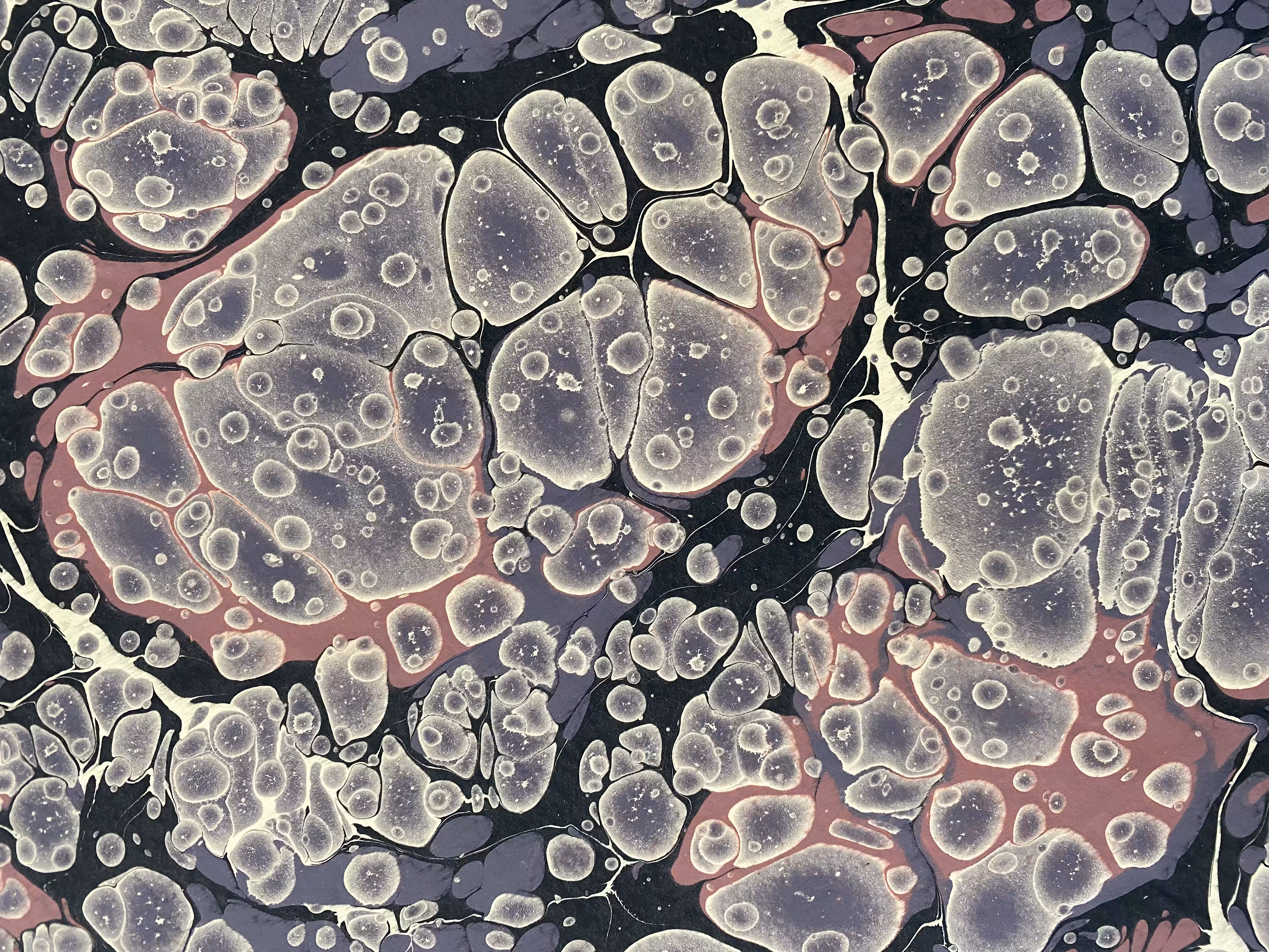 Battal Ebrû / Marbling Art SE #28