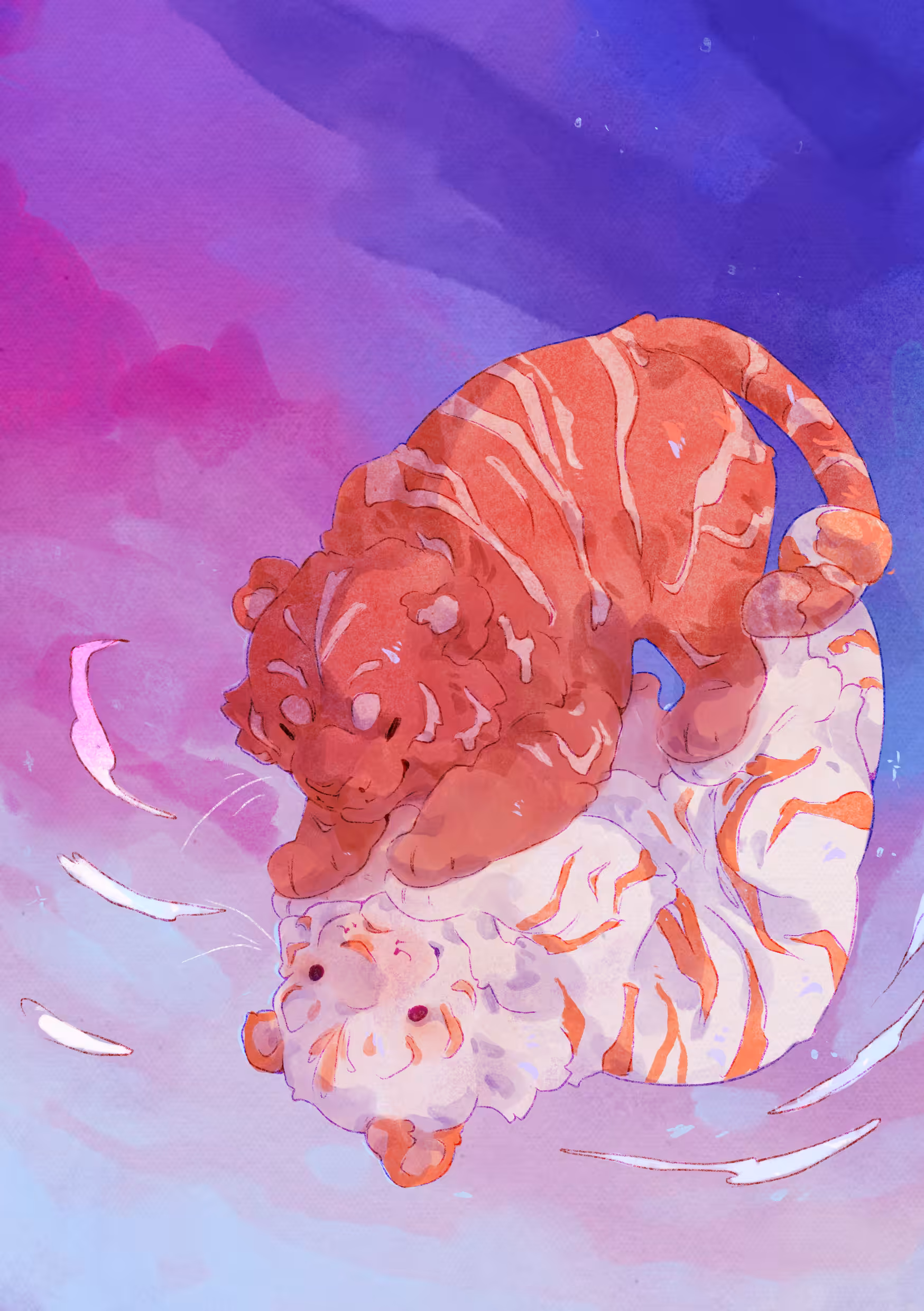 Reflect