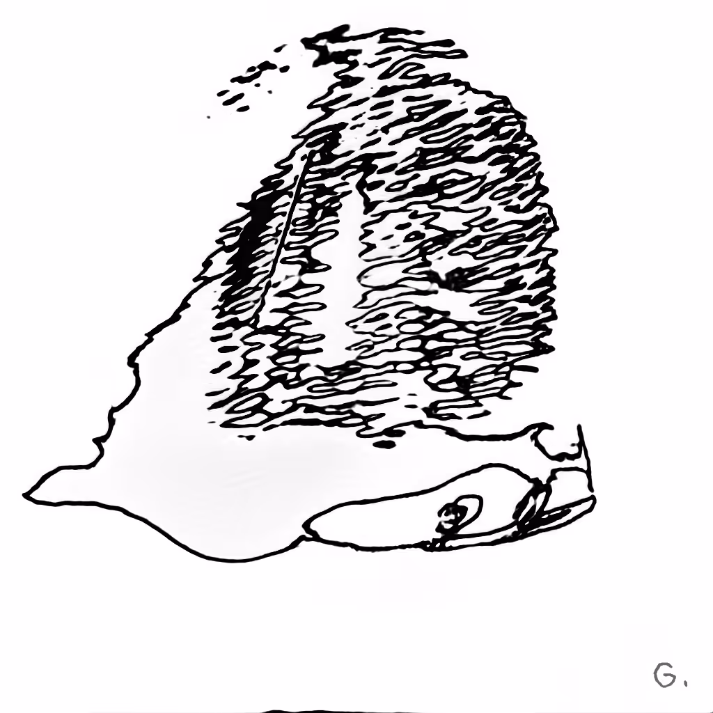 J48BAFORMS: J48BAFORM #2075
