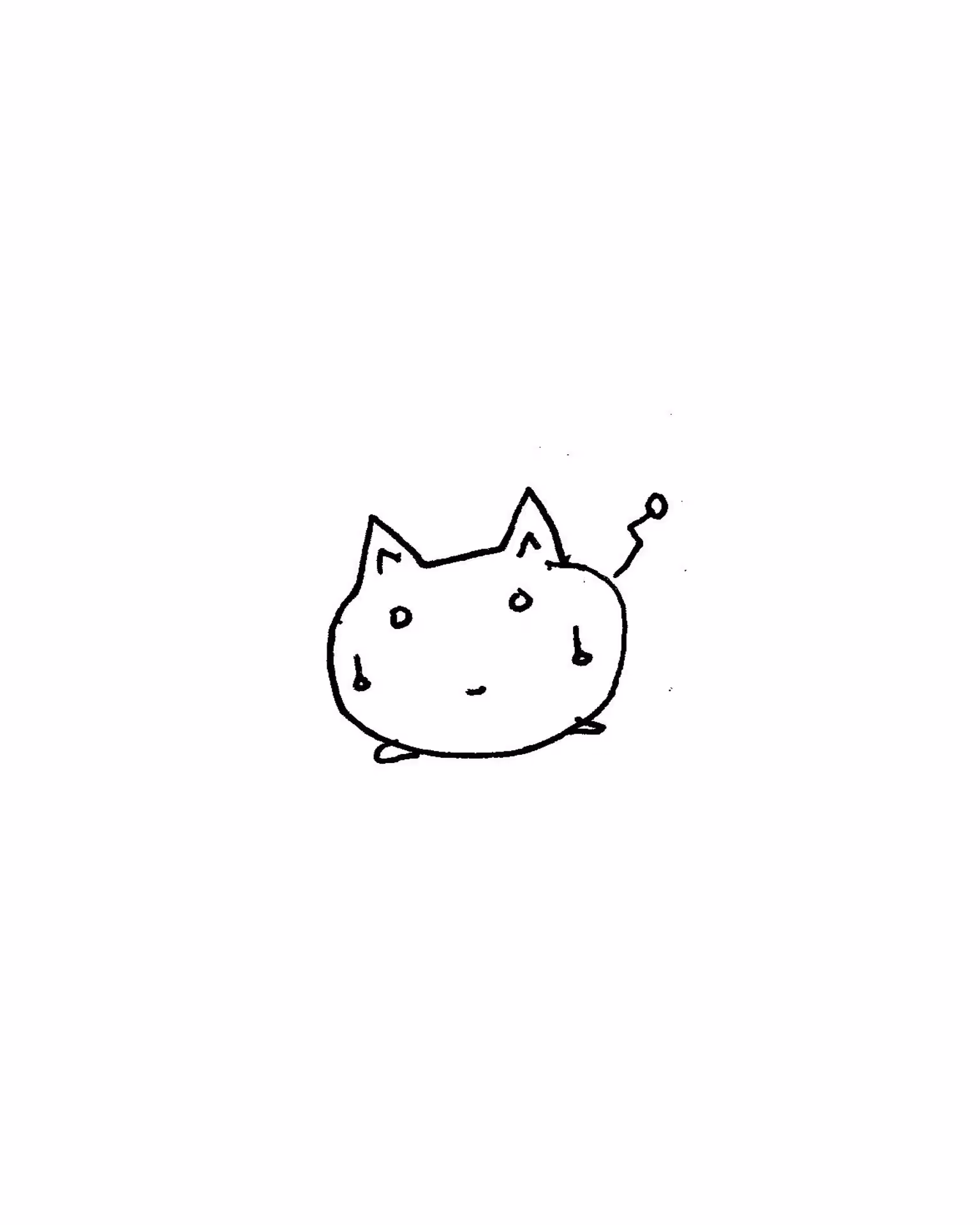 cat 1