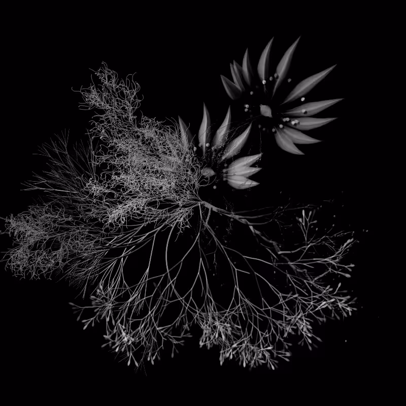 Botanical Ghosts #136
