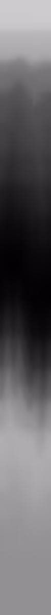Memetic Entropy Gradient 002