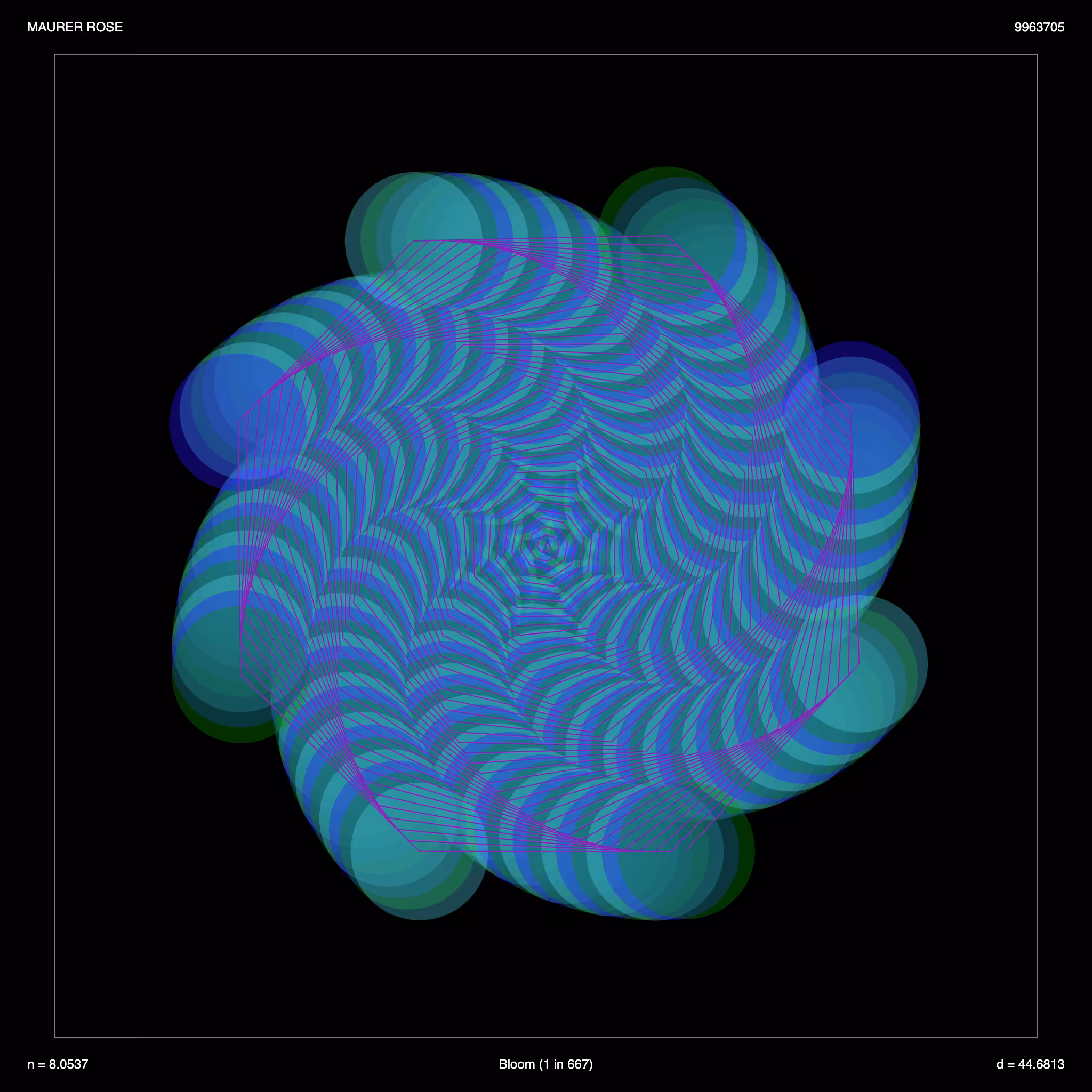 Maurer Rose - Spiral Bloom