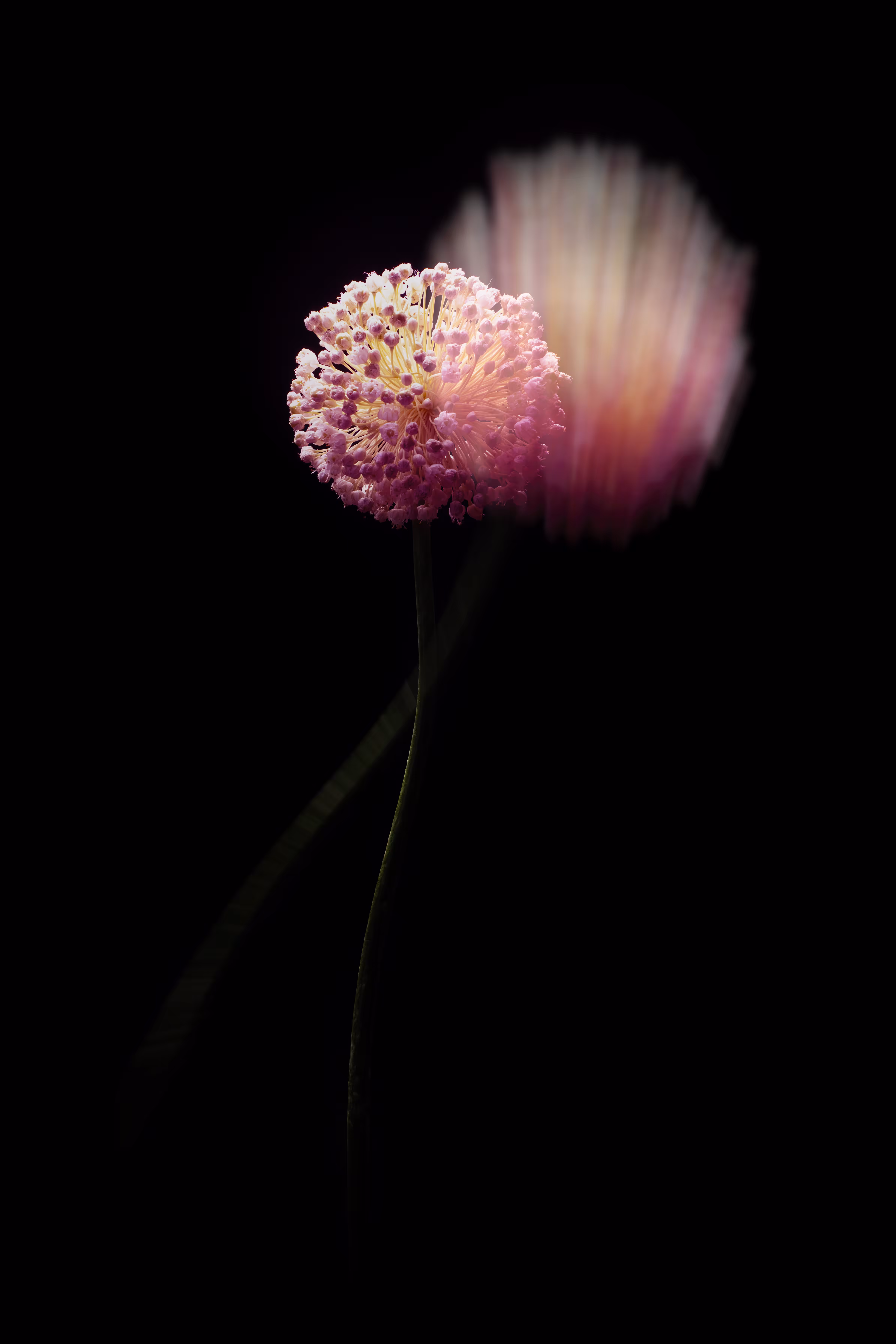 When the soul is separated
