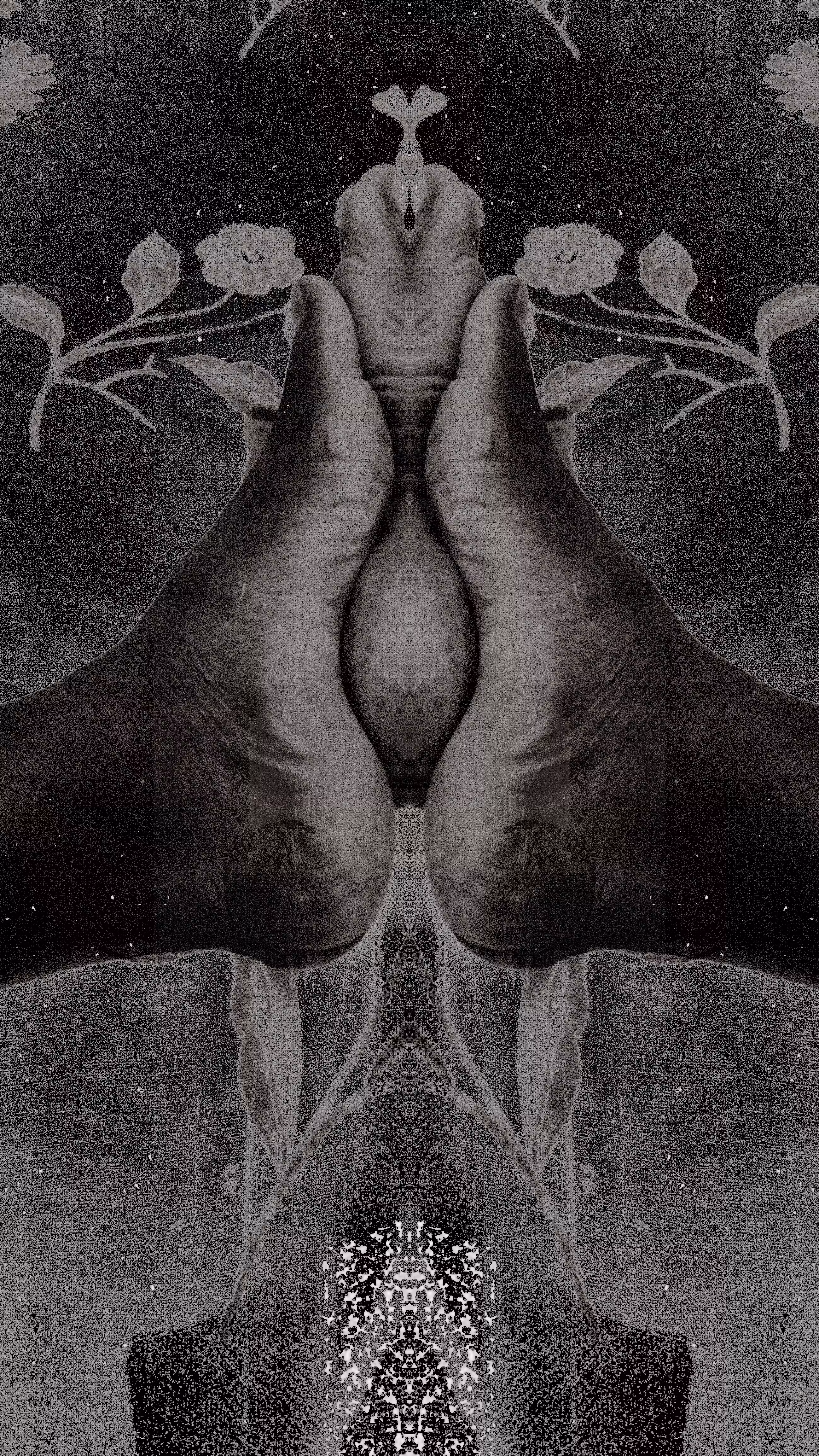 Vestiges of the Origin