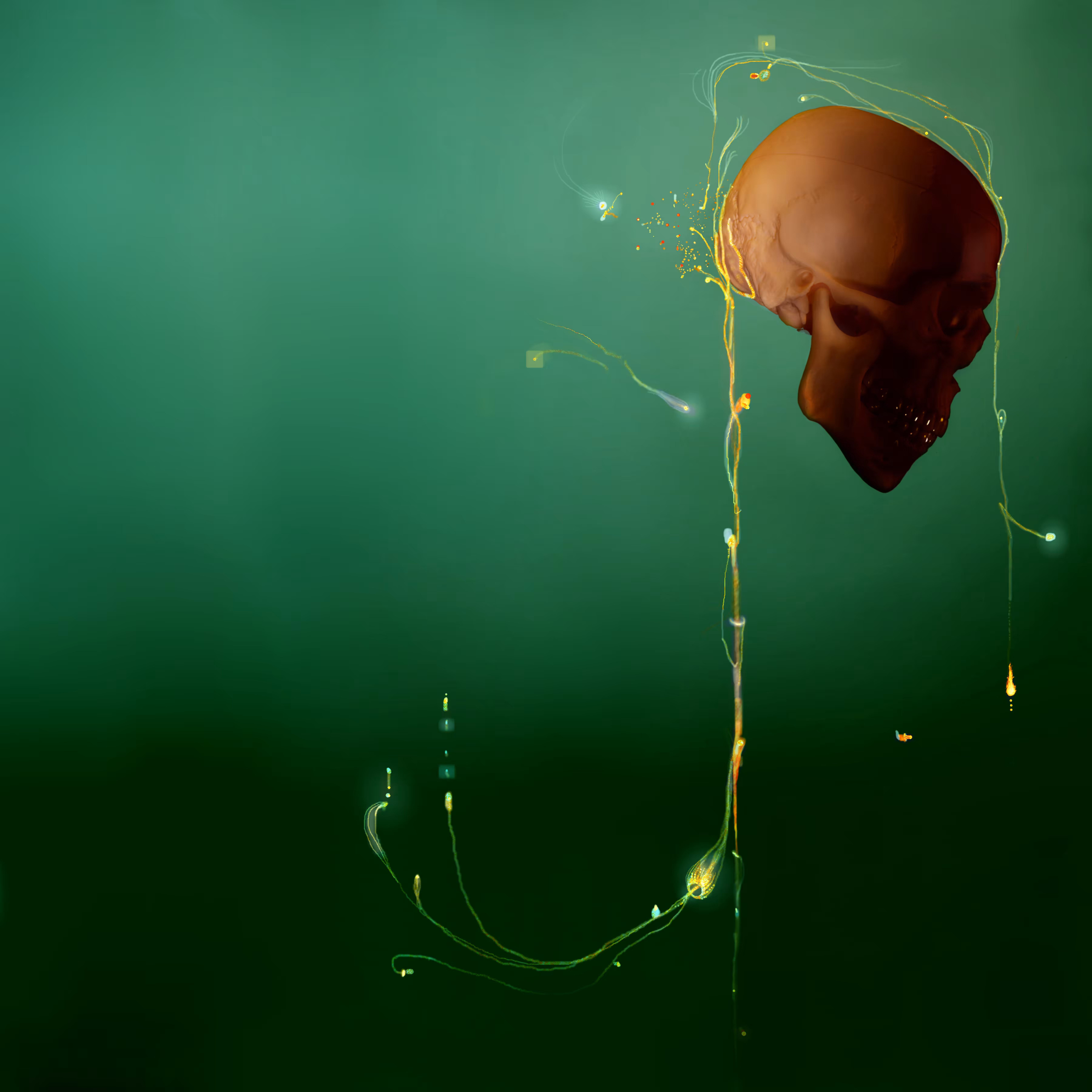Untitled (or Composition with Skull and Golden Threads)