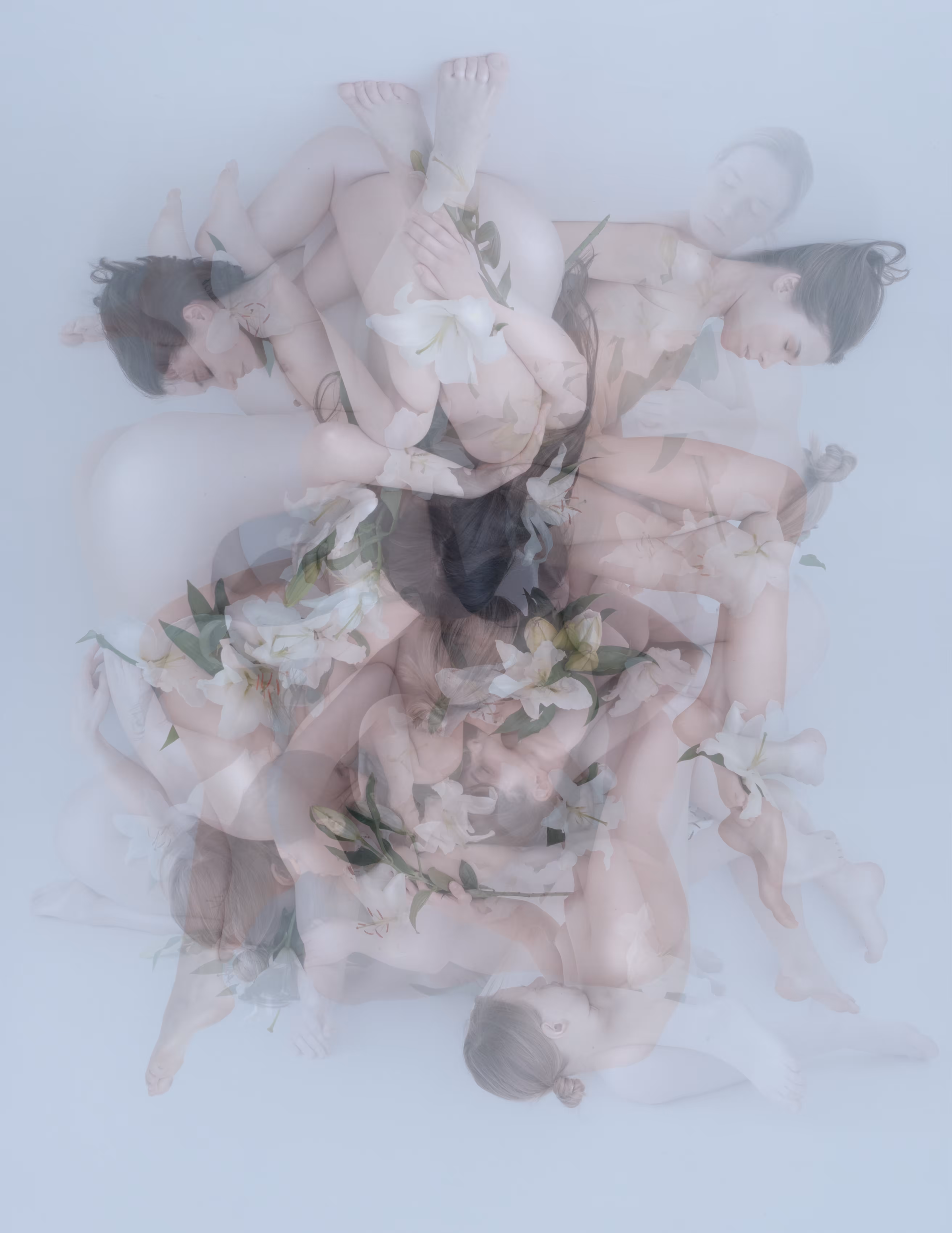 Echo #13
