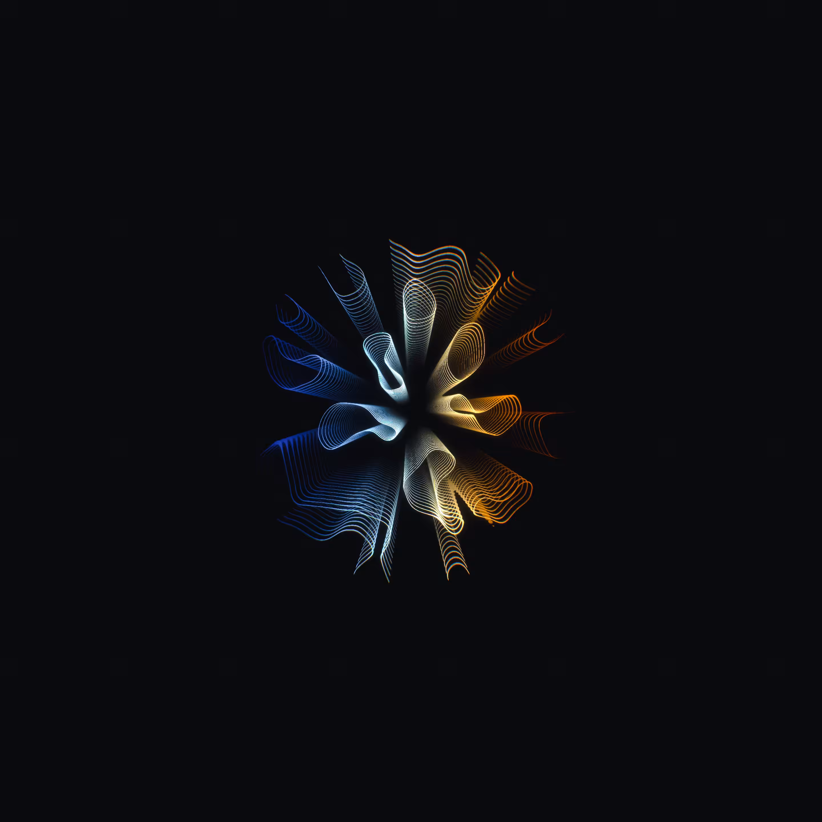 petri 004