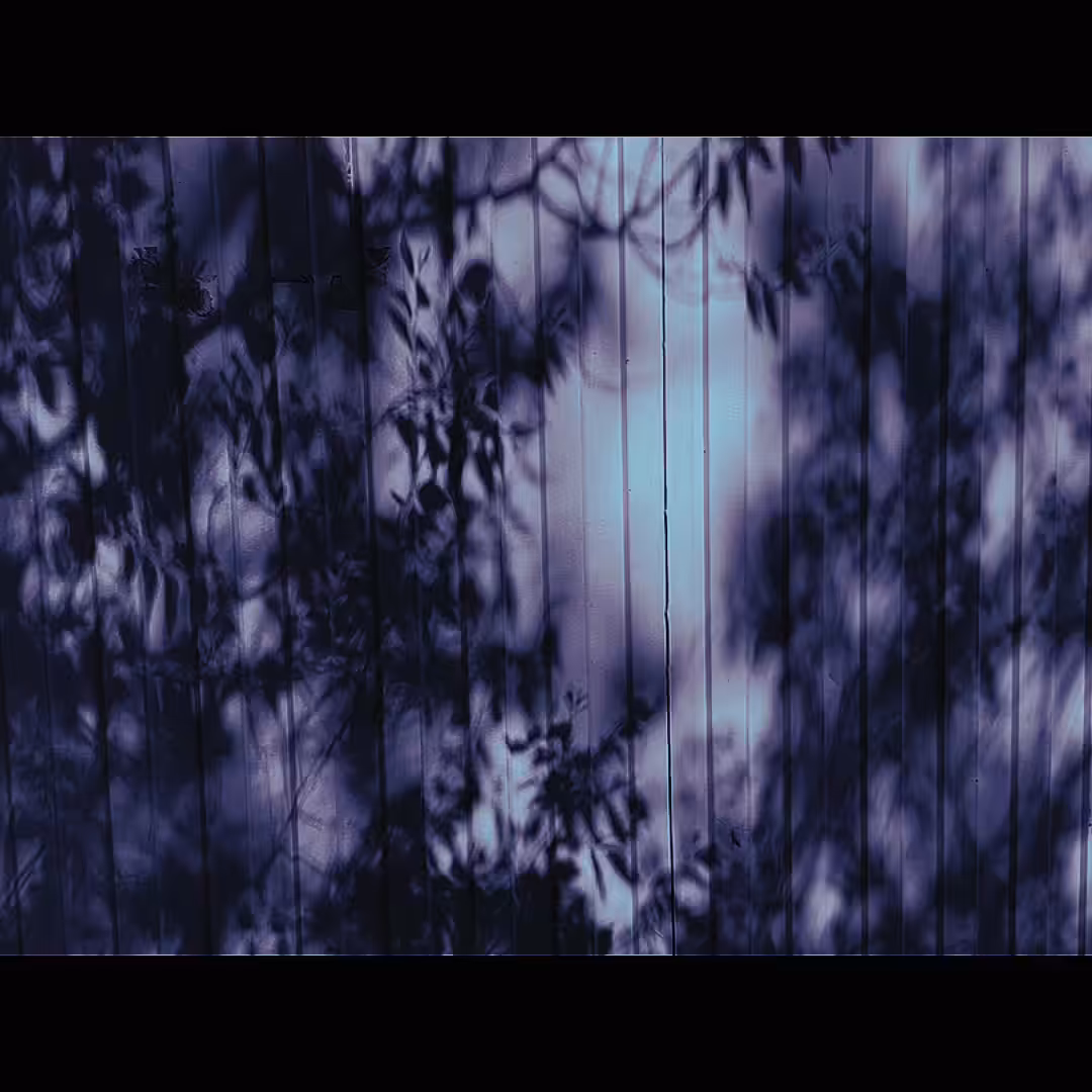Shadows of a moment