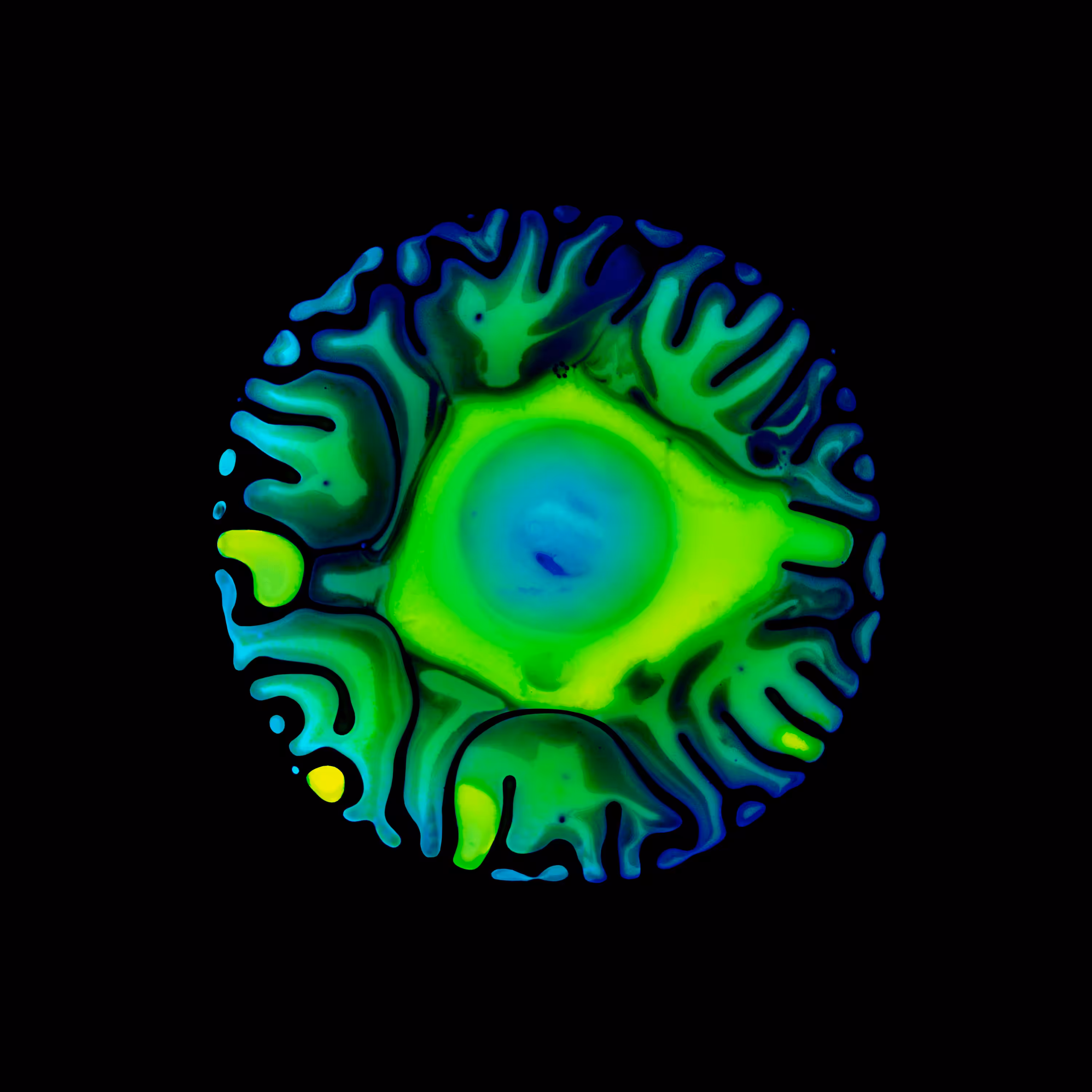 Haematopoiesis #251