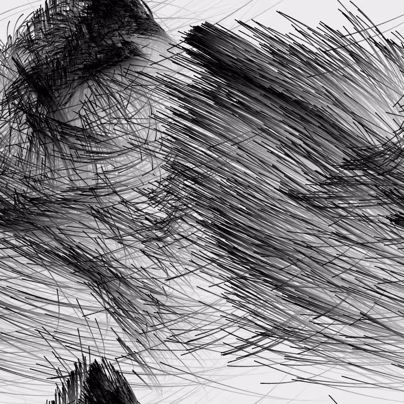 Strange Attractor Swarm #13
