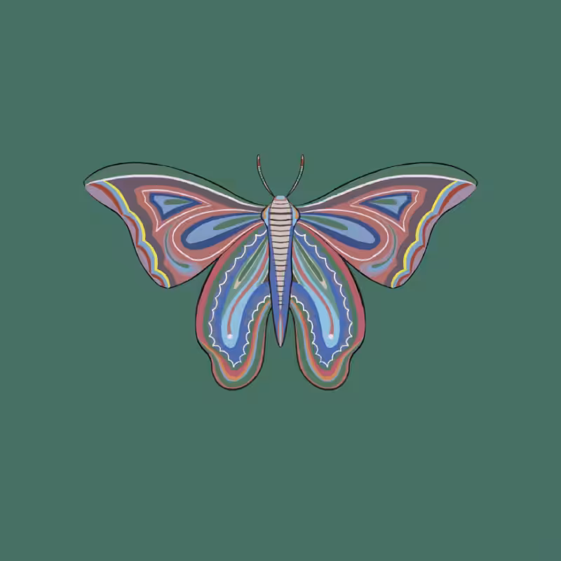The Moth Experiment 2.0 P2 #29
