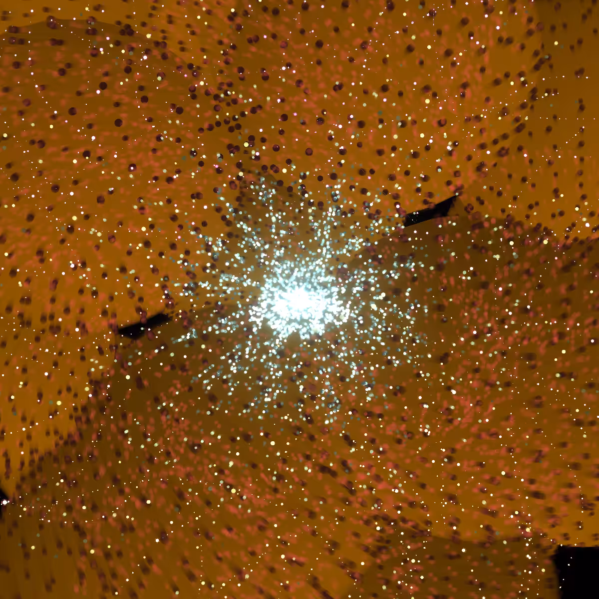 Cosmic Bloom #903