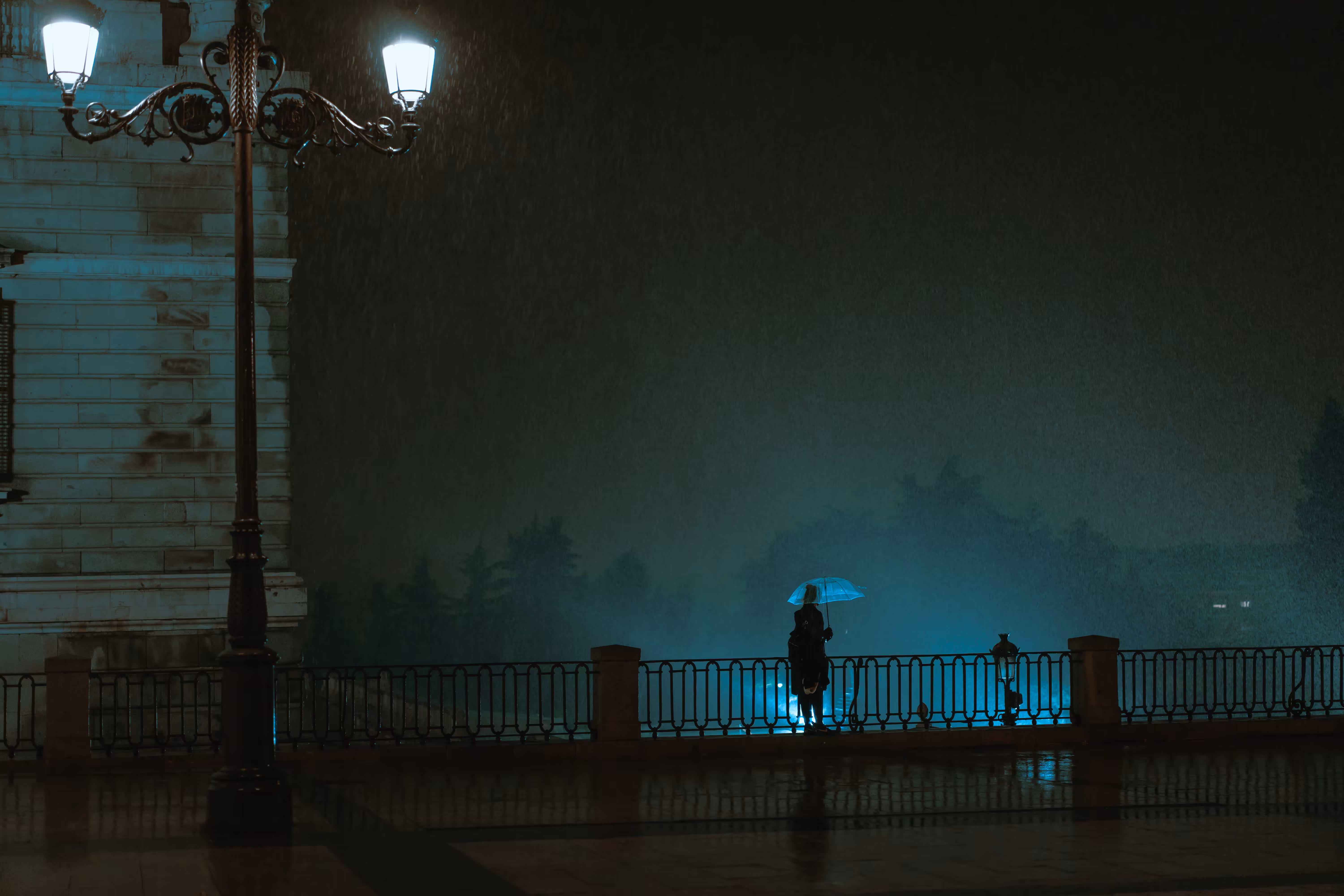 The Girl with the Umbrella