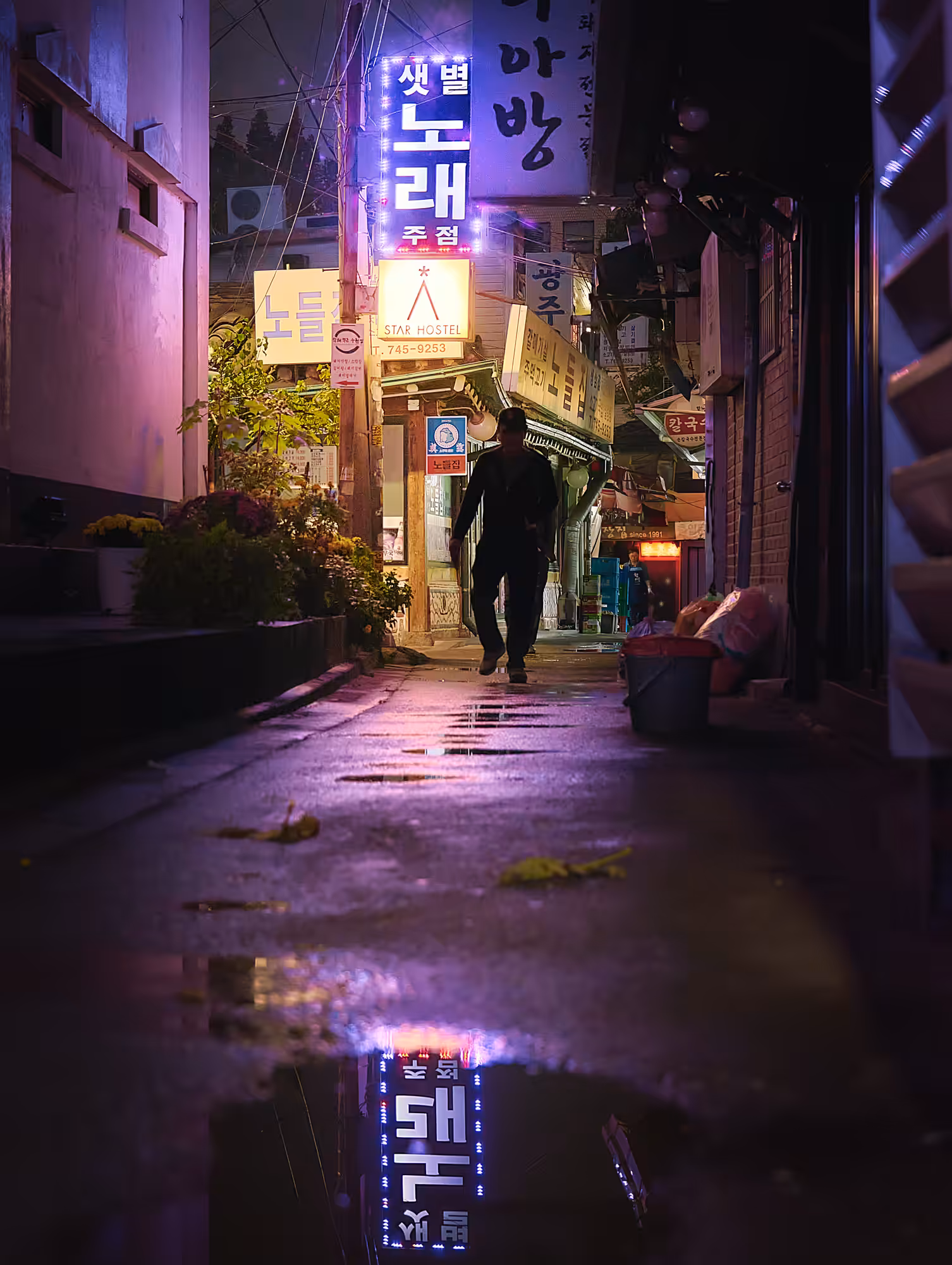 Purple Street
