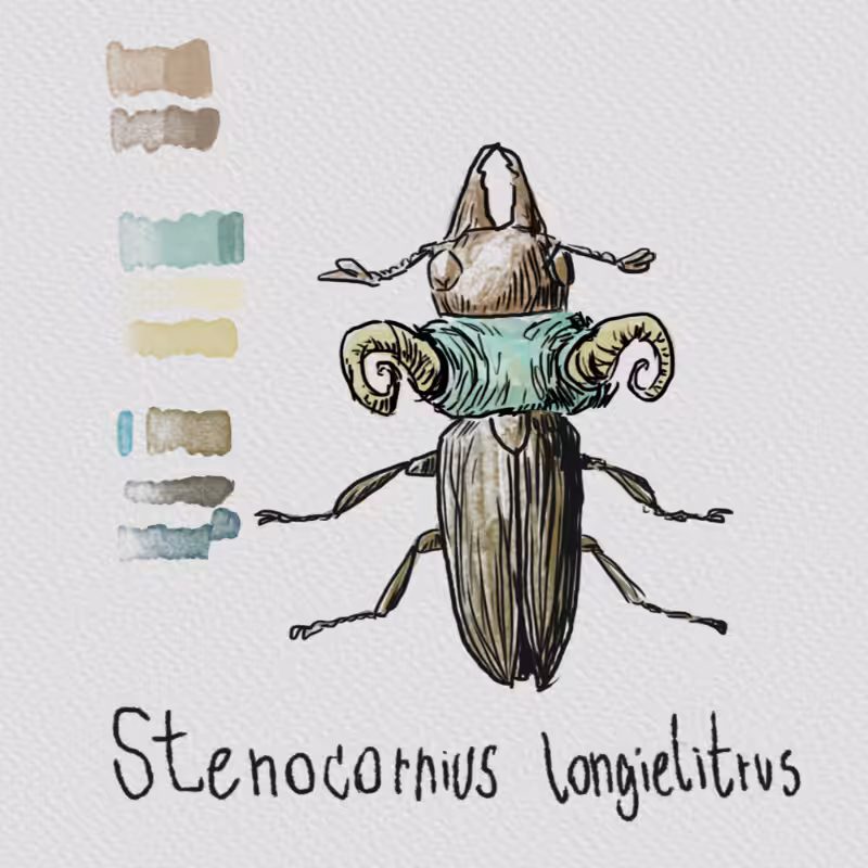Randomic Fauna1 #2