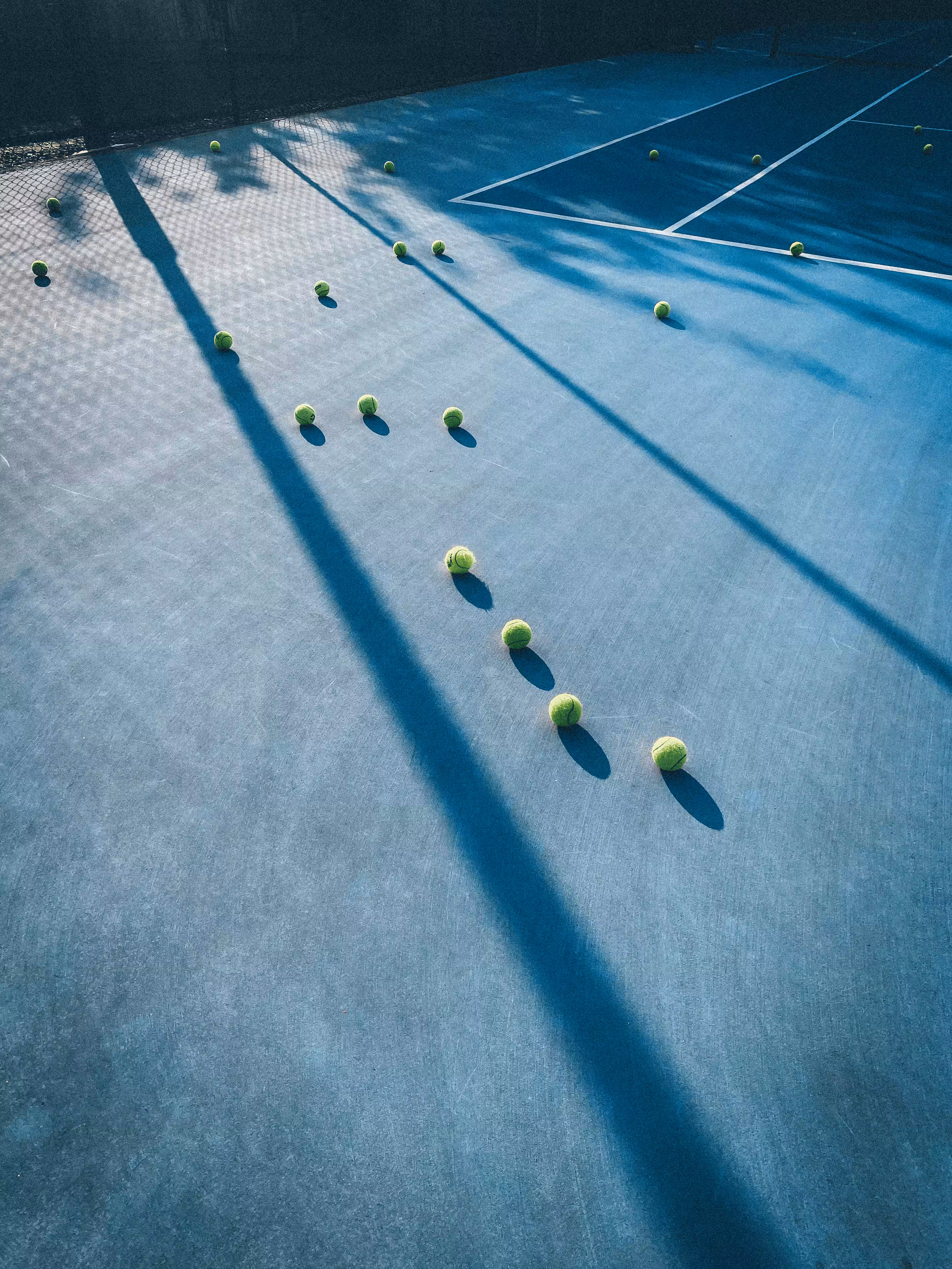 🎾🎾🎾🗾