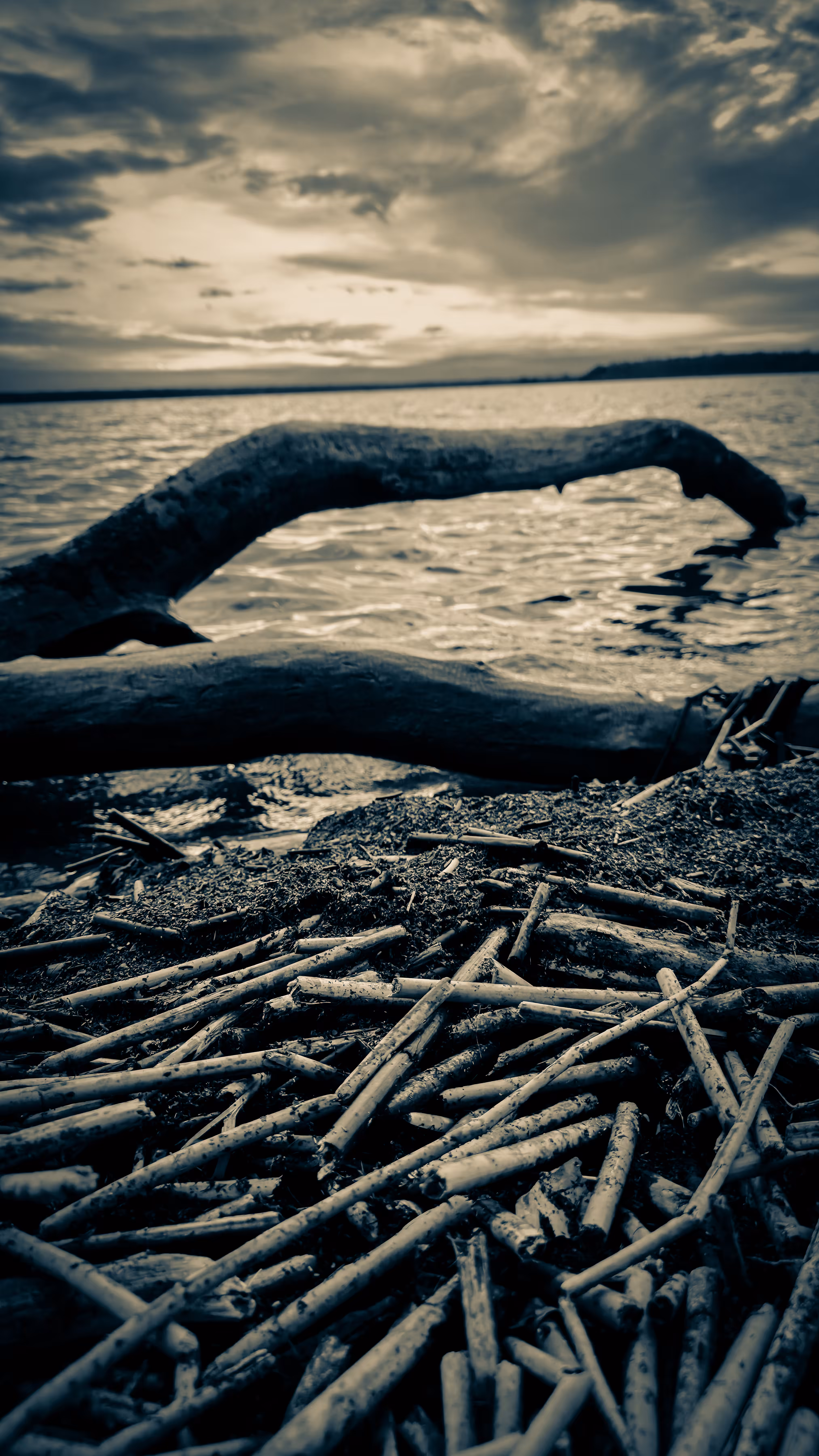 Where the Water Waits